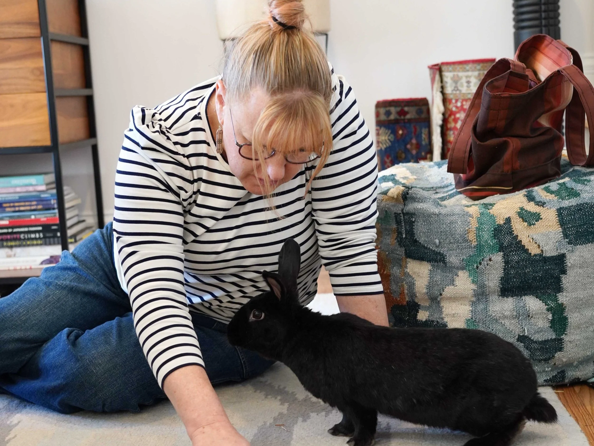 Foster — House Rabbit Society