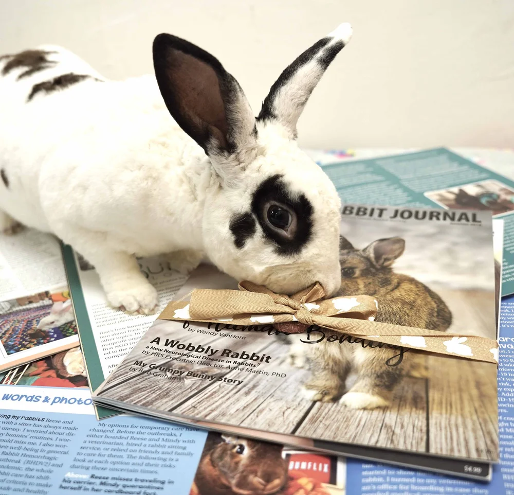 Spanish Resources — House Rabbit Society