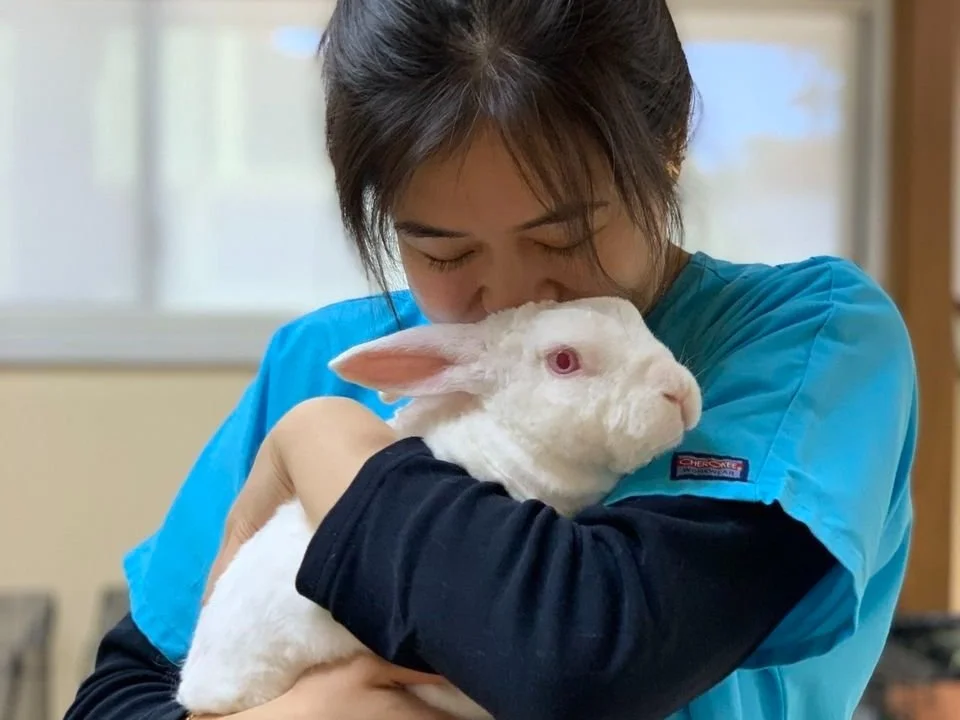Veterinary Training Initiative House Rabbit Society