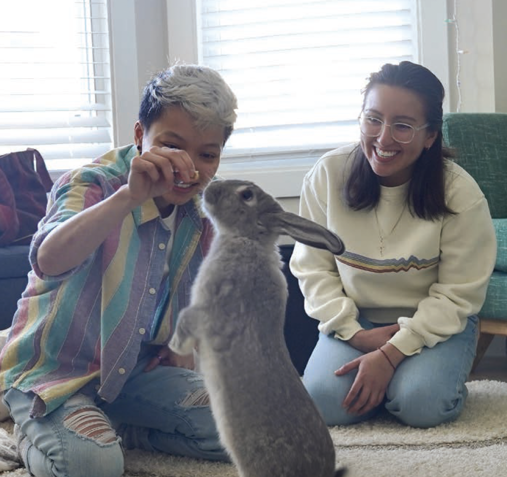 Rabbit veterinary near me