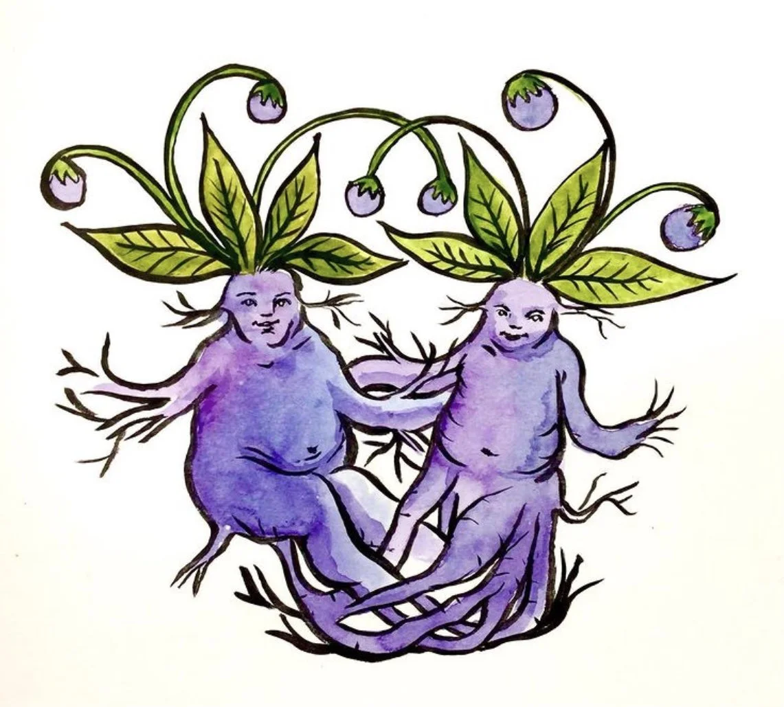 Living Spells ✦
