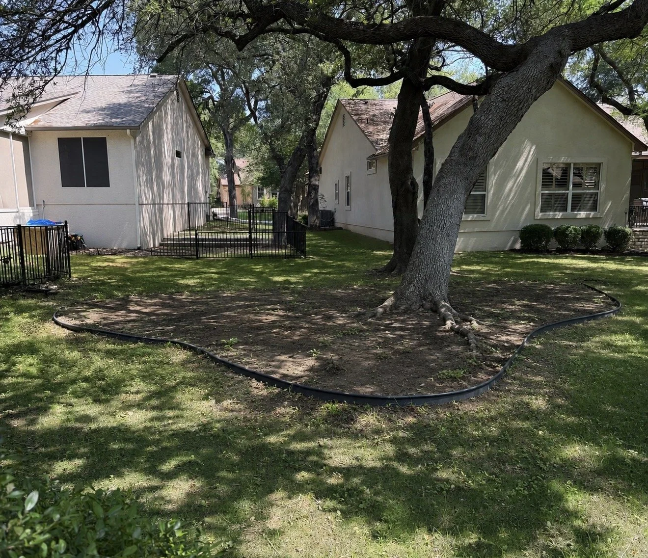 Bare dirt where grass won't grow in shade