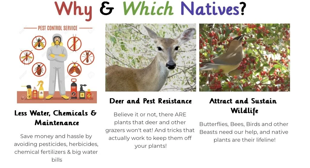 Screenshot 2024-09-12 at 12.05.59 PM.jpeg