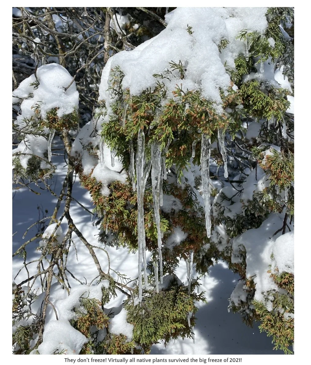 Screenshot 2024-09-12 at 12.06.06 PM.jpeg