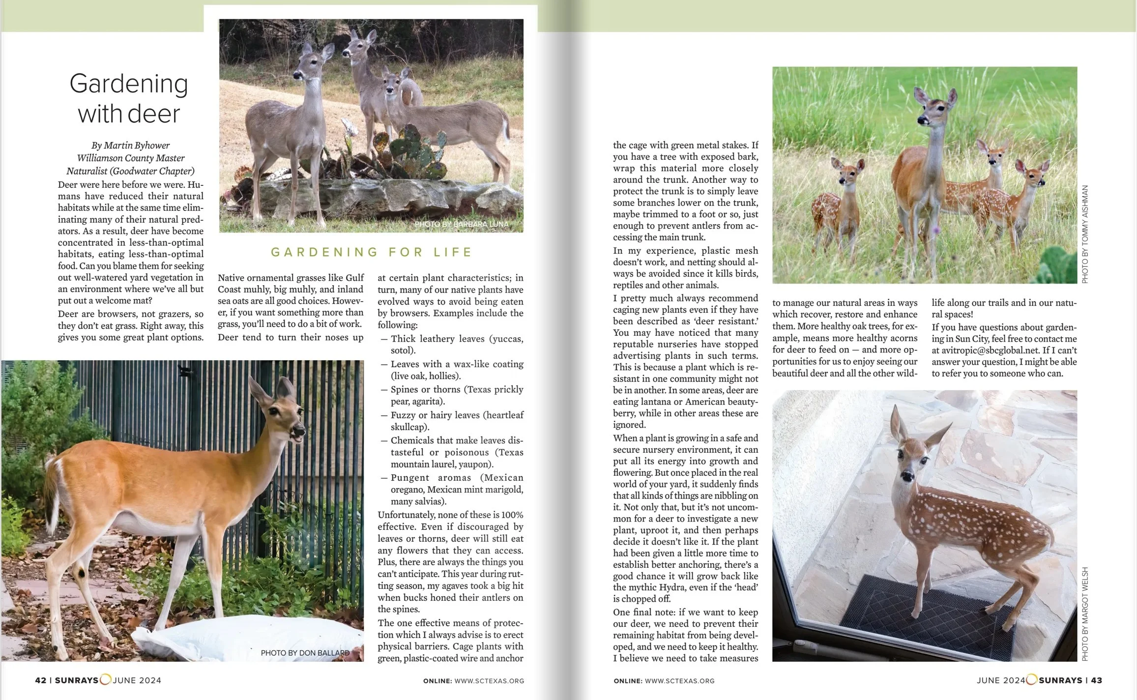 IMG_9948.jpeg?format=2500w