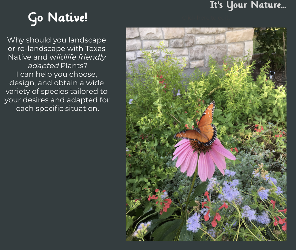 Screenshot 2024-09-12 at 11.39.51 AM.png