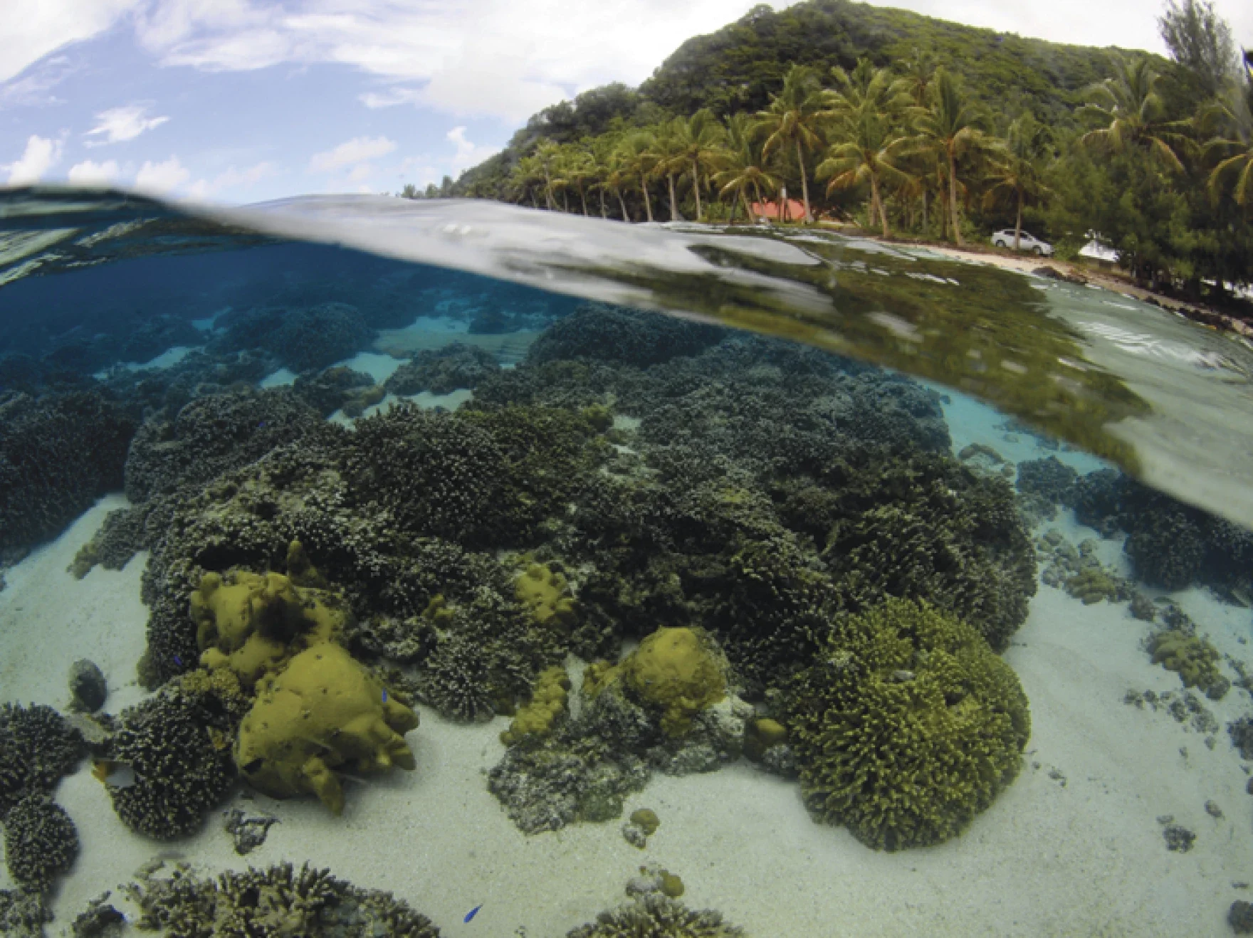 Hawaiʻi lawmakers propose climate literacy program in public schools