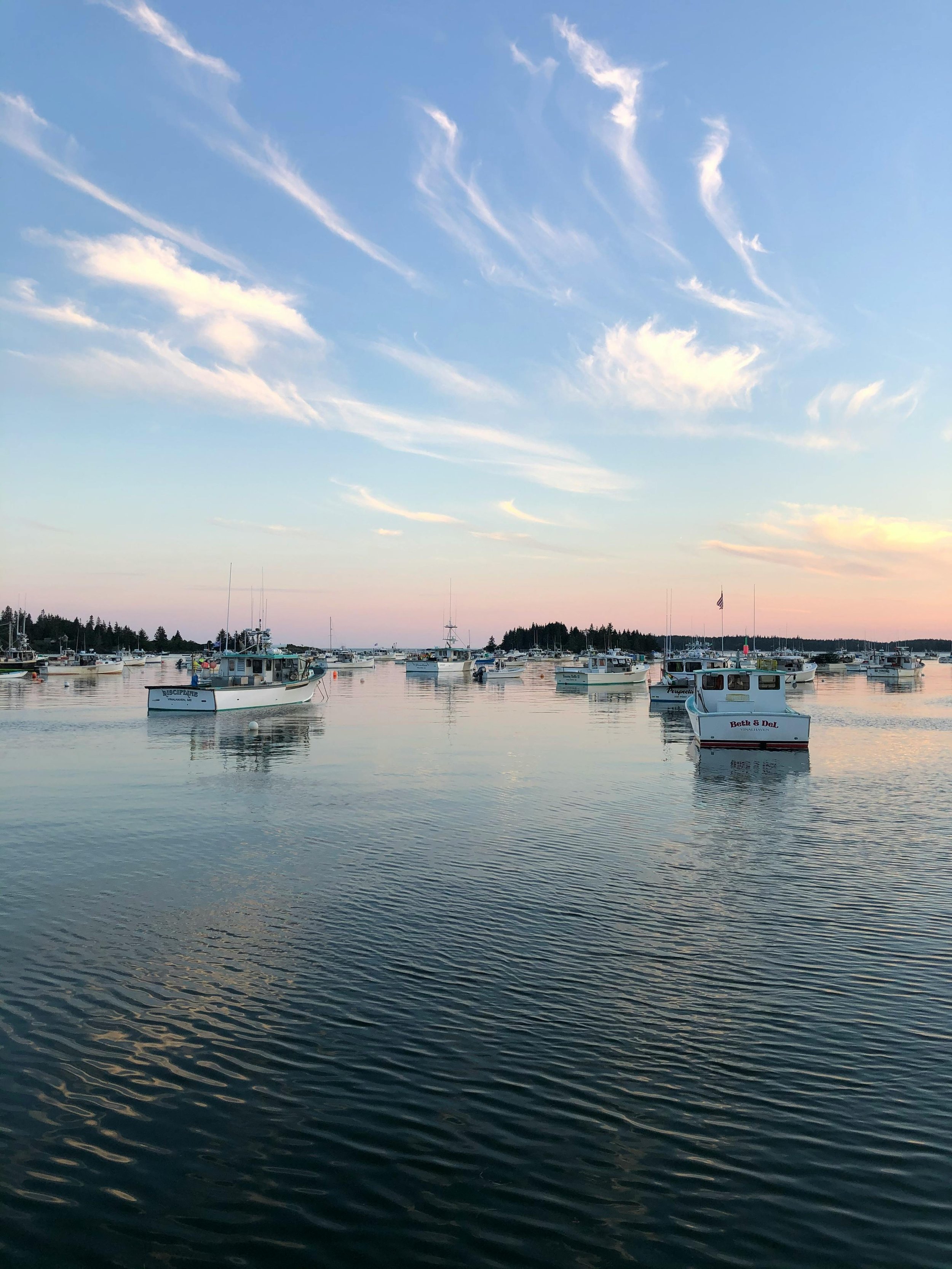 Maine DOE Launches the Seal of Climate Literacy High School Diploma Endorsement