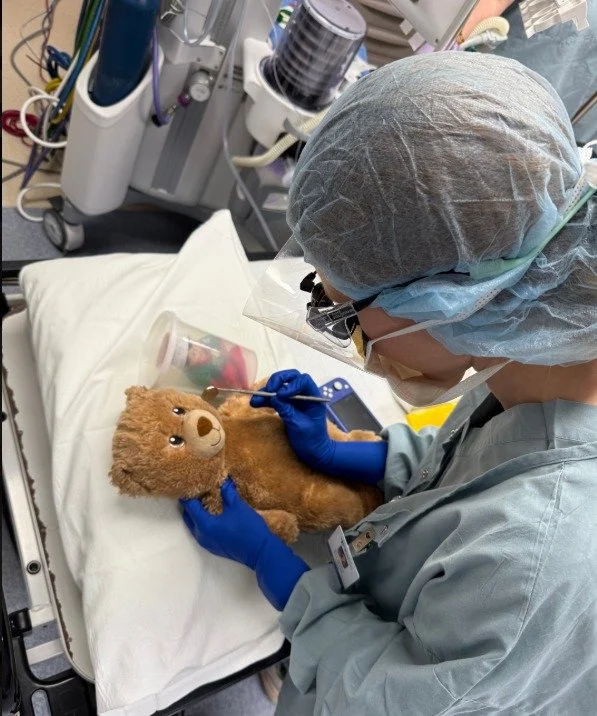 Even the teddy bears are getting checked twice this season 🎄🦷
Elf supervision is in full effect as we make sure every stuffed friend is on Santa&rsquo;s nice list and cavity-free.

Christmas magic looks a lot like comfort, care, and a whole lot of 