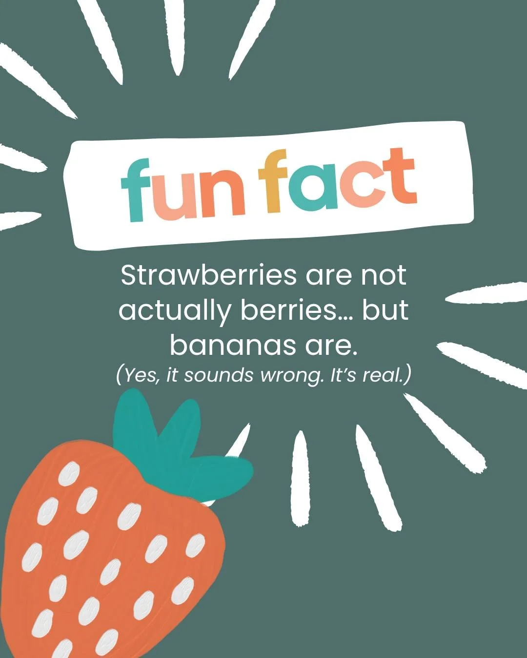 Strawberries aren&rsquo;t actually berries&hellip; but bananas are 🤯
It sounds completely backwards, but it&rsquo;s true. Science is weird and we&rsquo;re here for it.