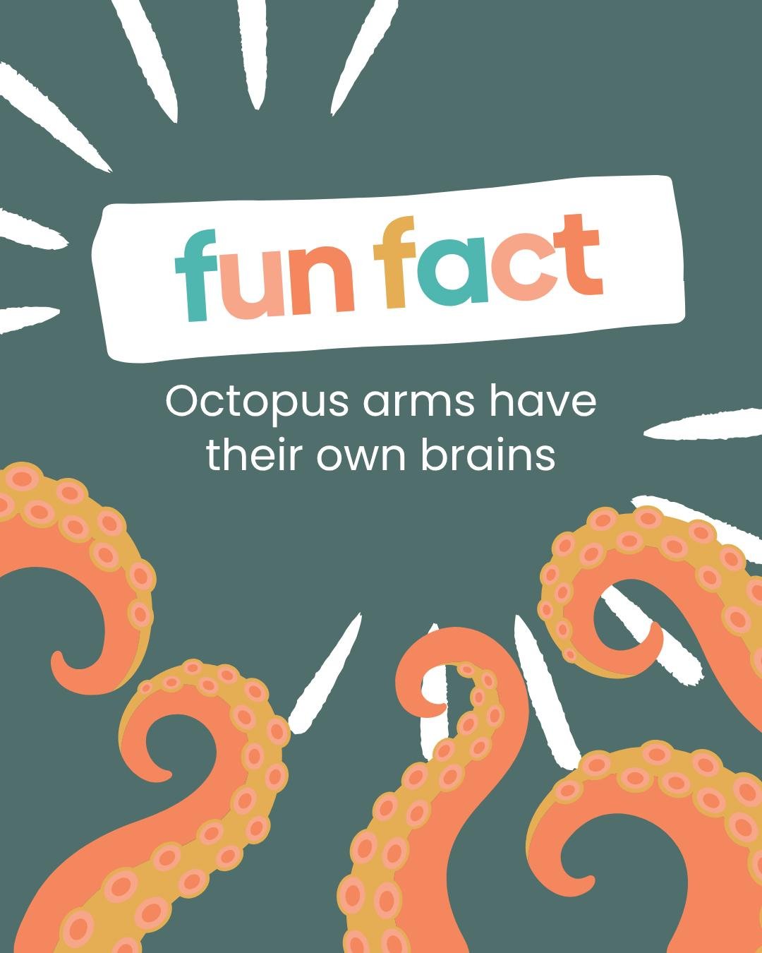 Octopus arms have their own brains 😳
So technically&hellip; they&rsquo;re multitasking better than all of us.