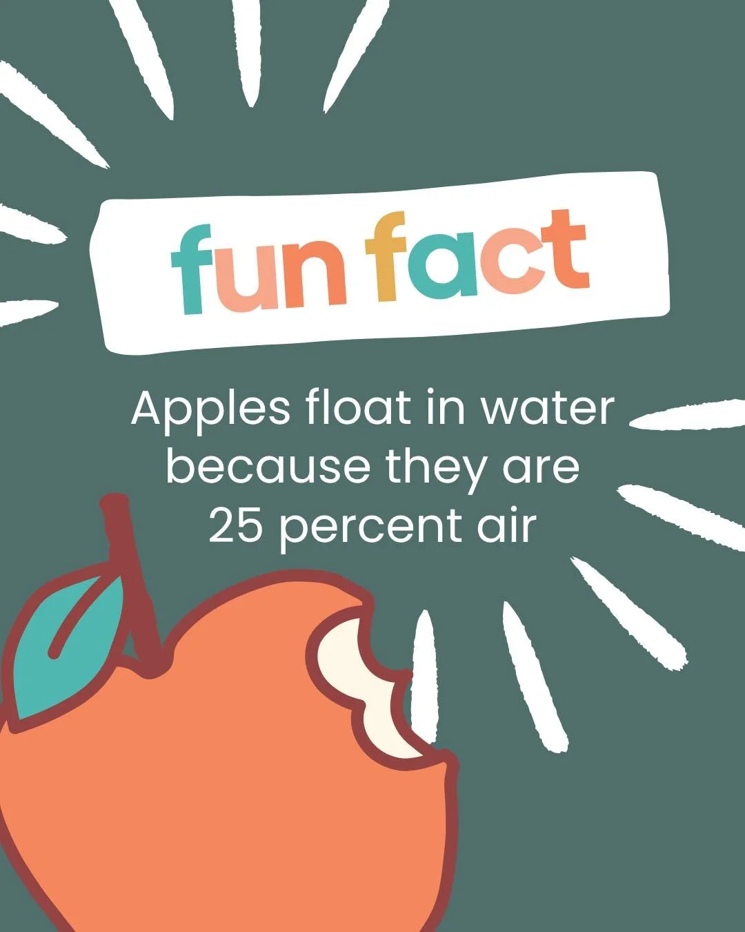 Apples float because they&rsquo;re 25 percent air 🍎
Bonus&hellip; they&rsquo;re also a great crunchy snack that helps keep teeth happy 🦷✨