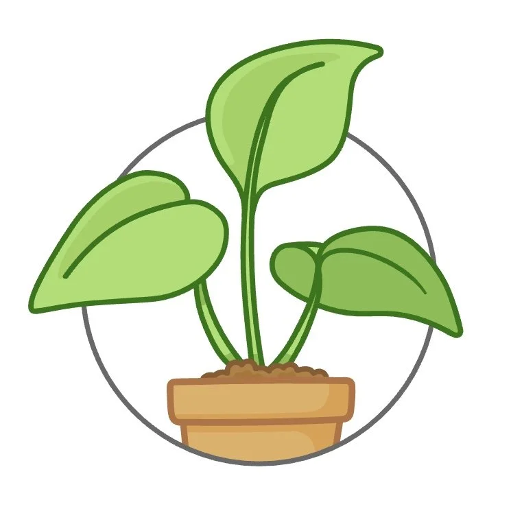 Illustration of a potted green houseplant with three large leaves.