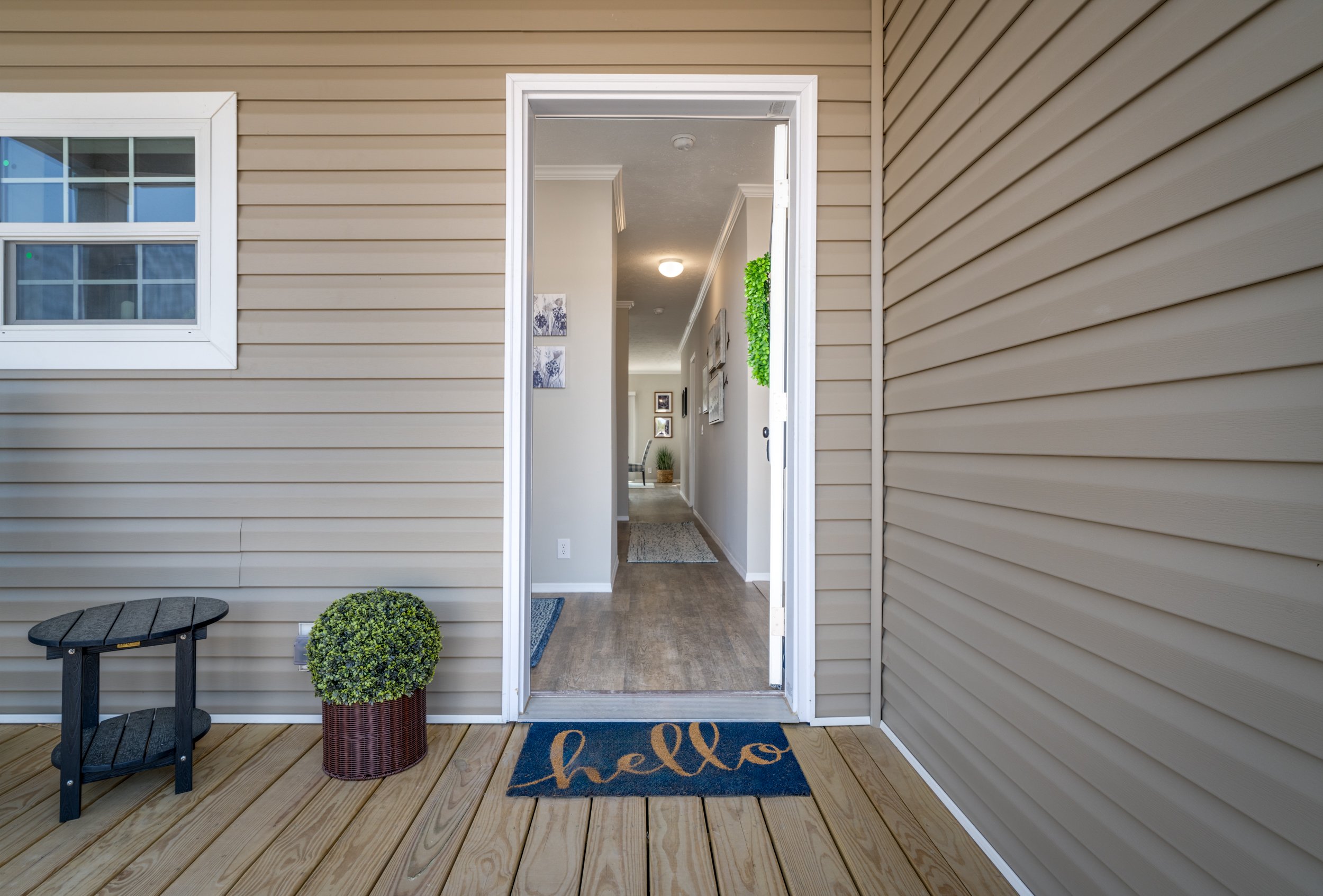 Looking through the Front Door.jpg