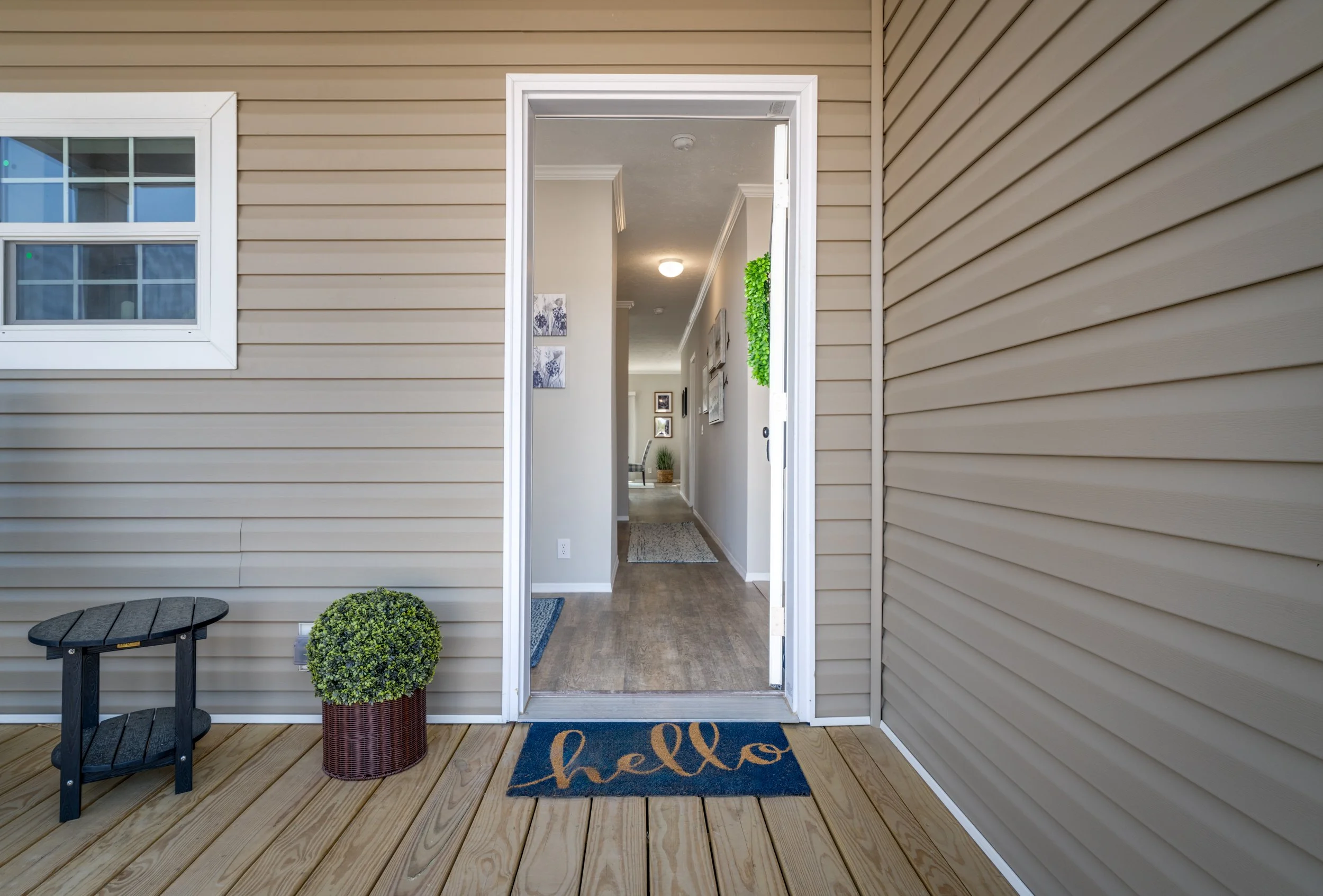 Looking through the Front Door.jpg