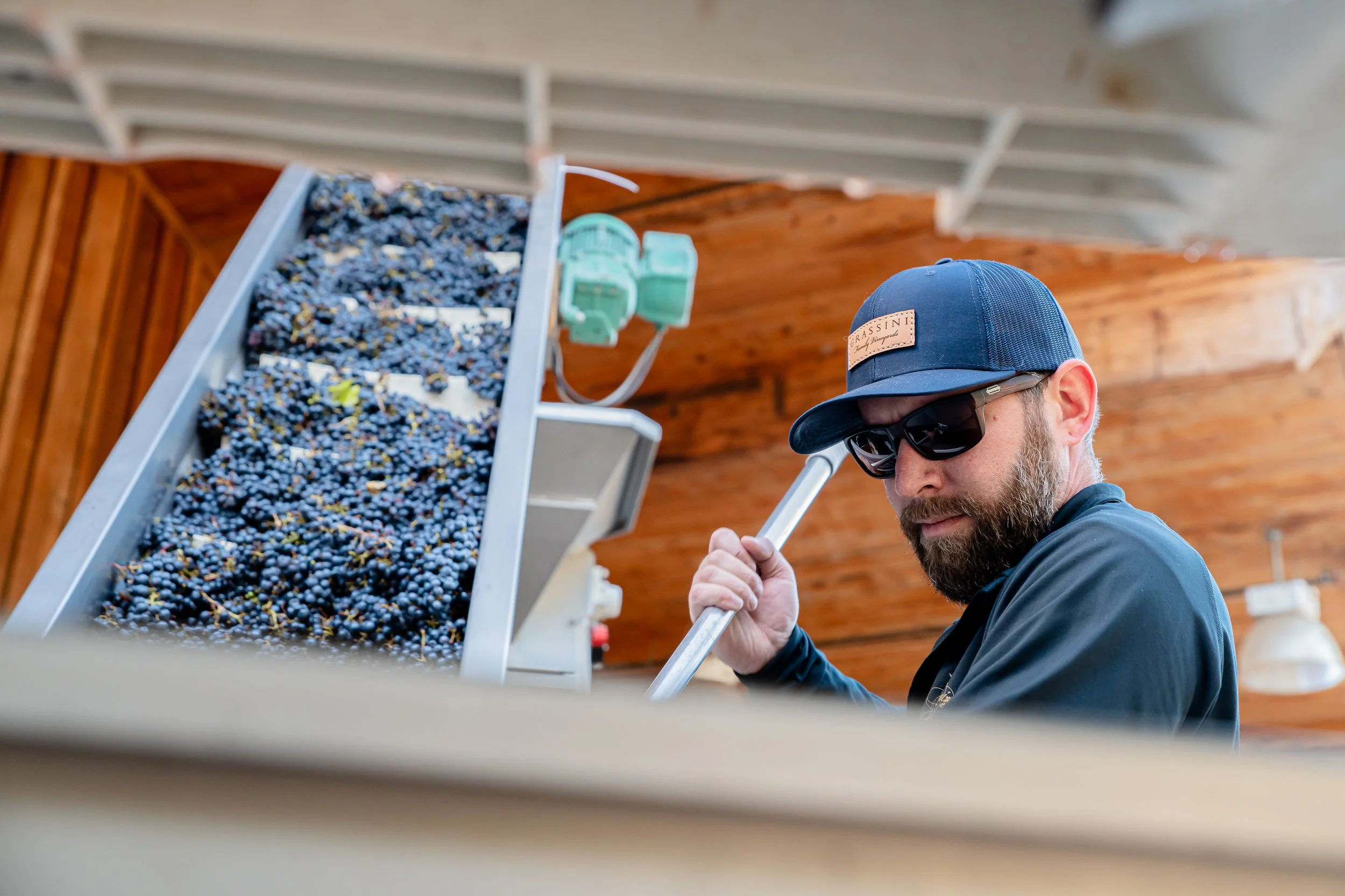 Harvest 2025: A Vintage to Remember