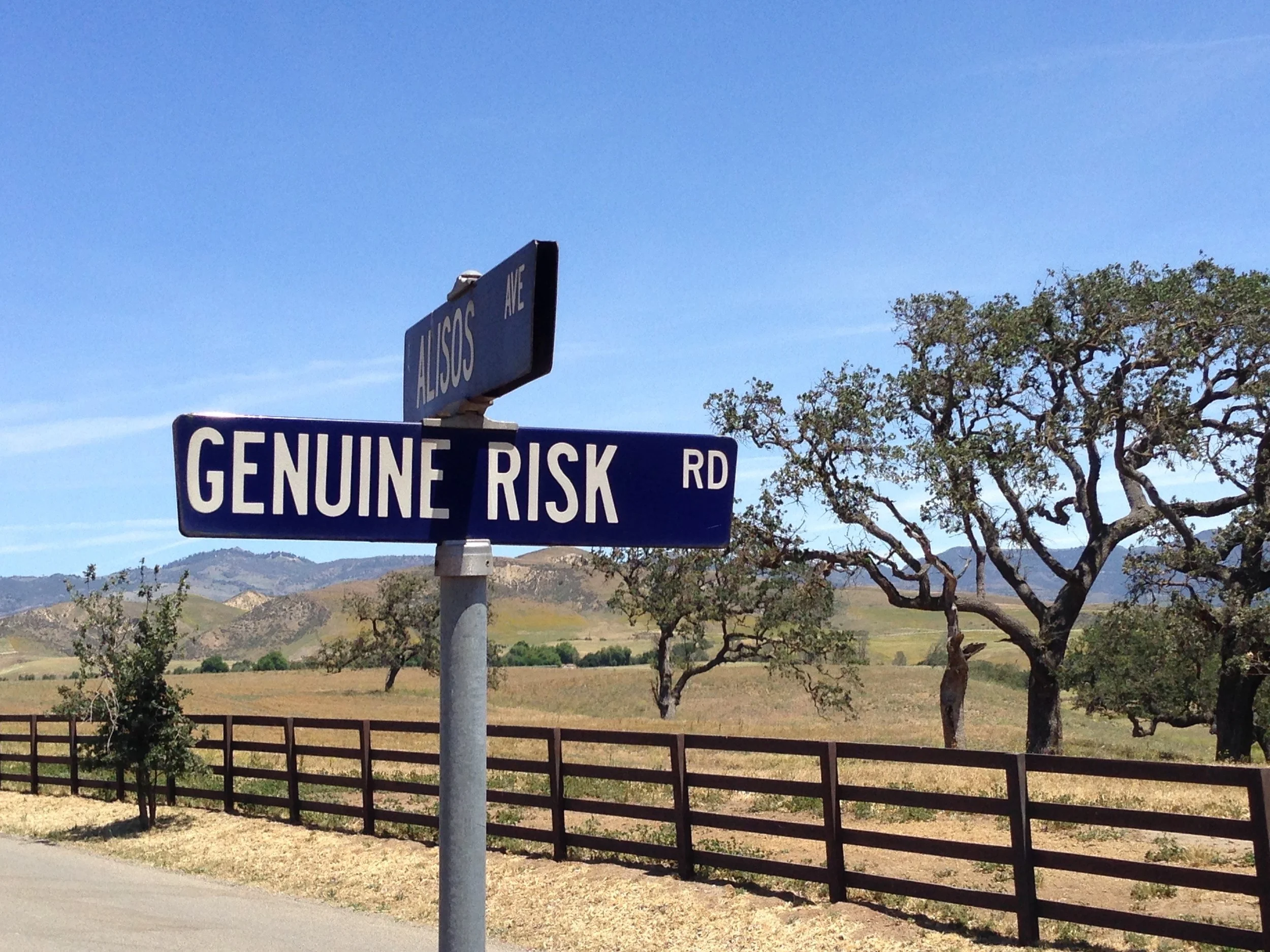 The Story Behind Genuine Risk Road