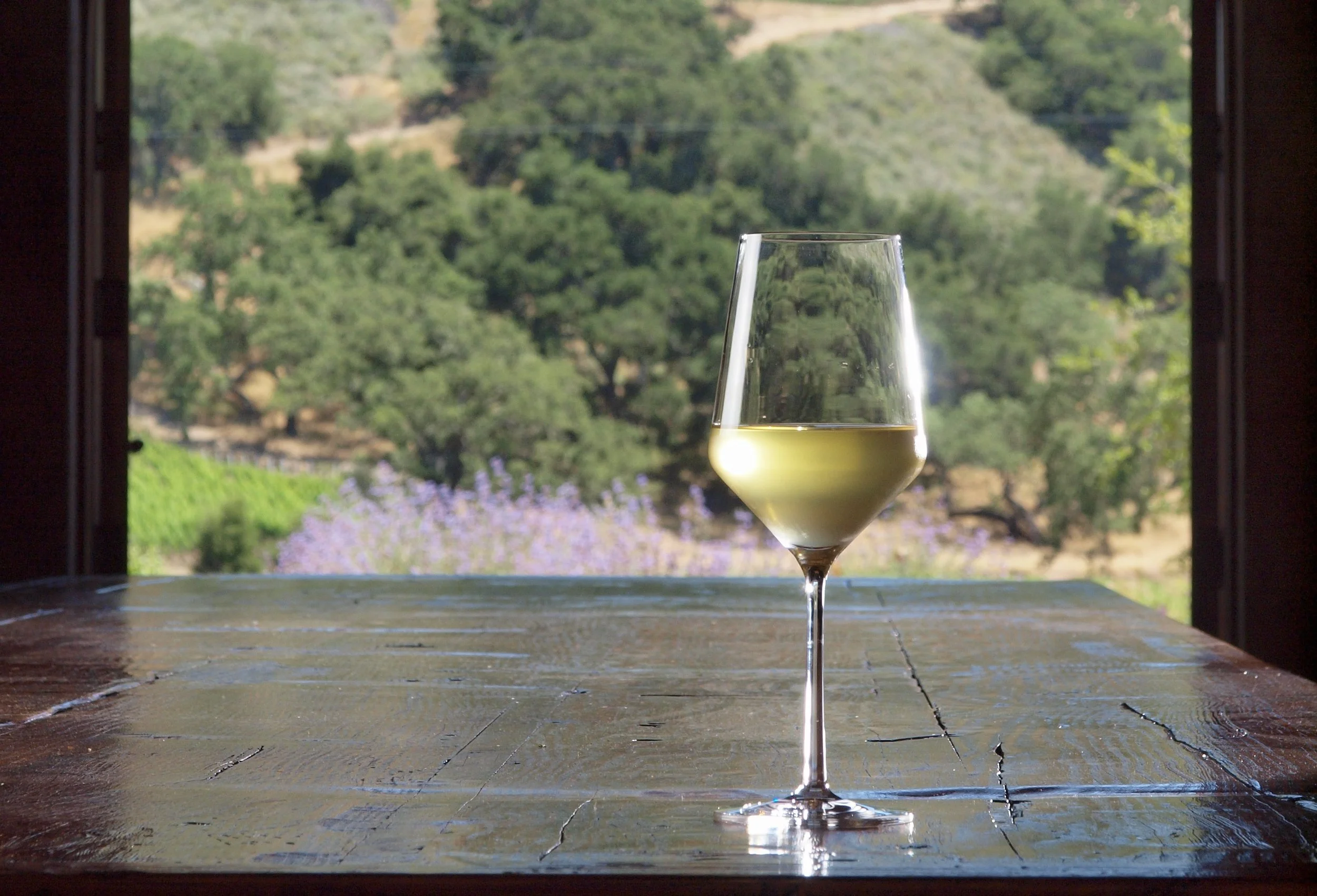 Sauvignon Blanc, Reimagined