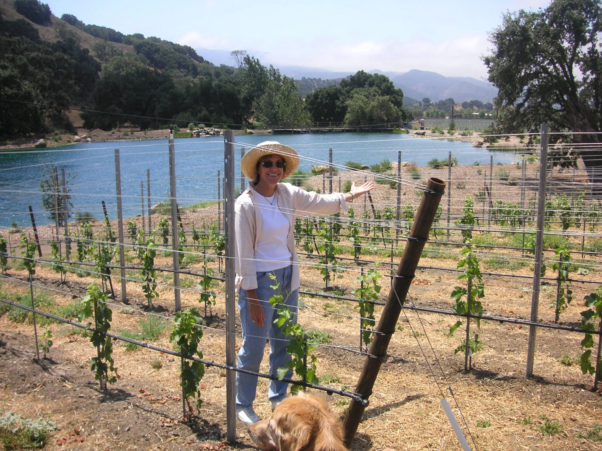 Sharon Grassini stands in the newly planted vines at the Grassini Family Vineyards Estate with pet Golden Retriever and the Pond in the background.