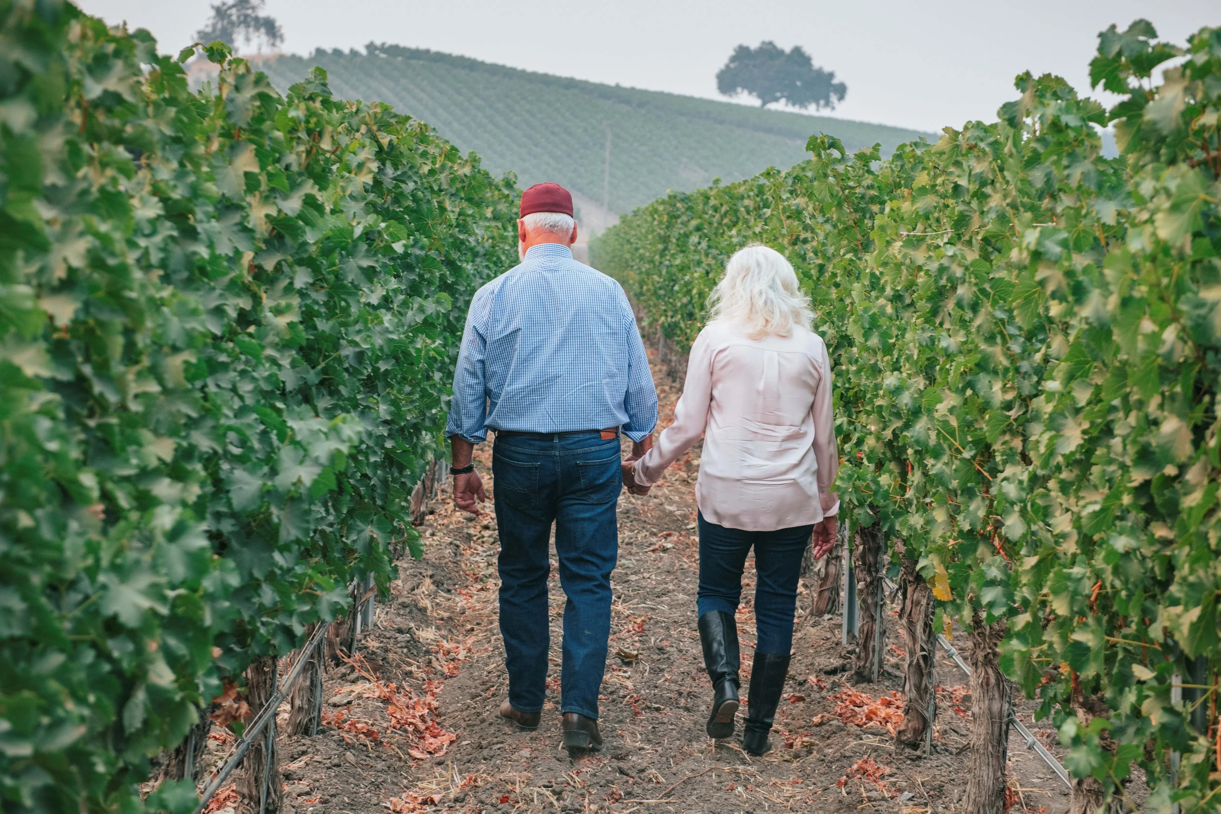 Larry and Sharon Grassini walk through the vines at the Grassini Family Vineyards Estate in Santa Ynez.