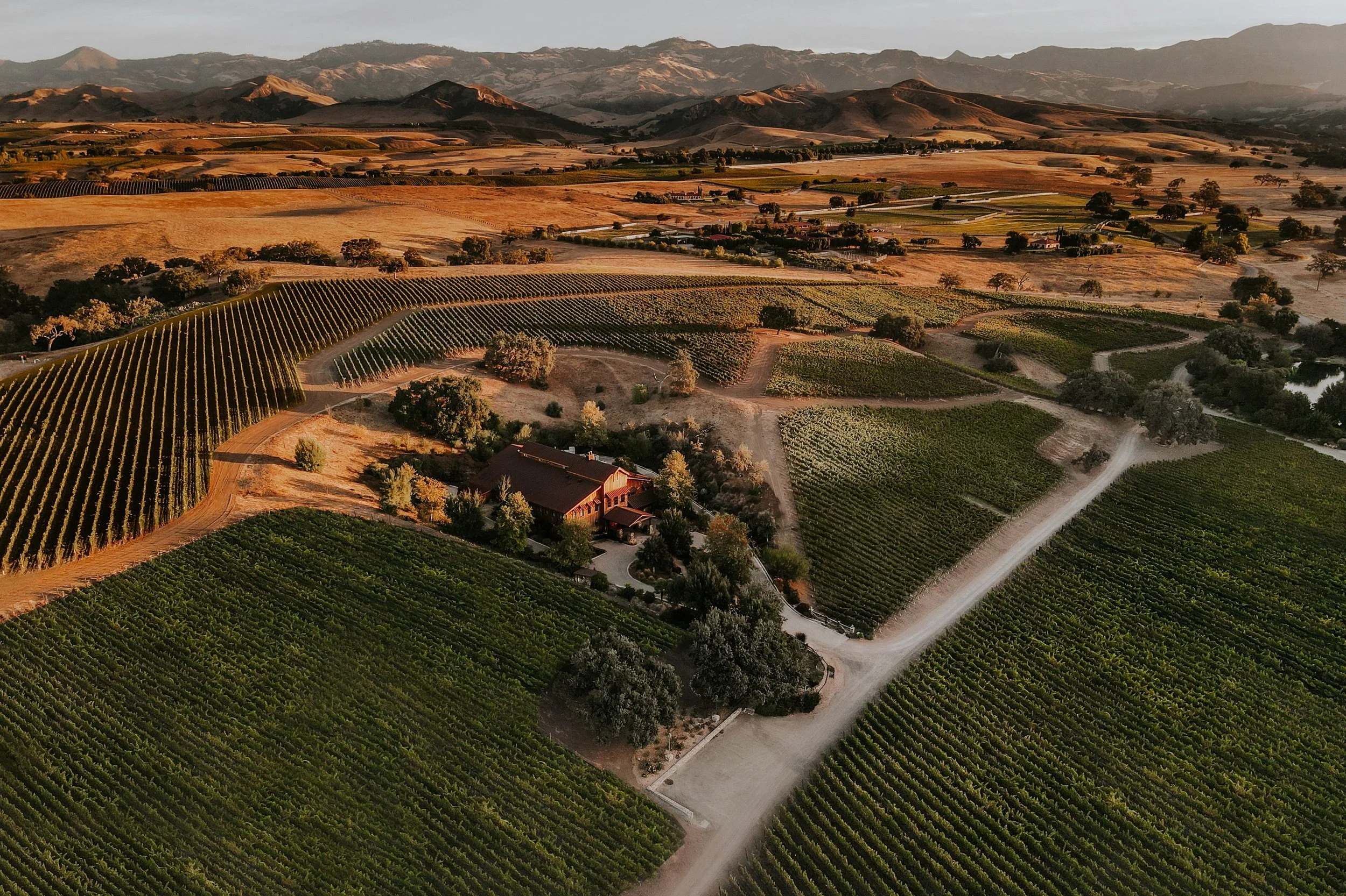 Drone photo looking down at the Grassini Family Vineyards Estate Vineyard & Winery in Santa Ynez.