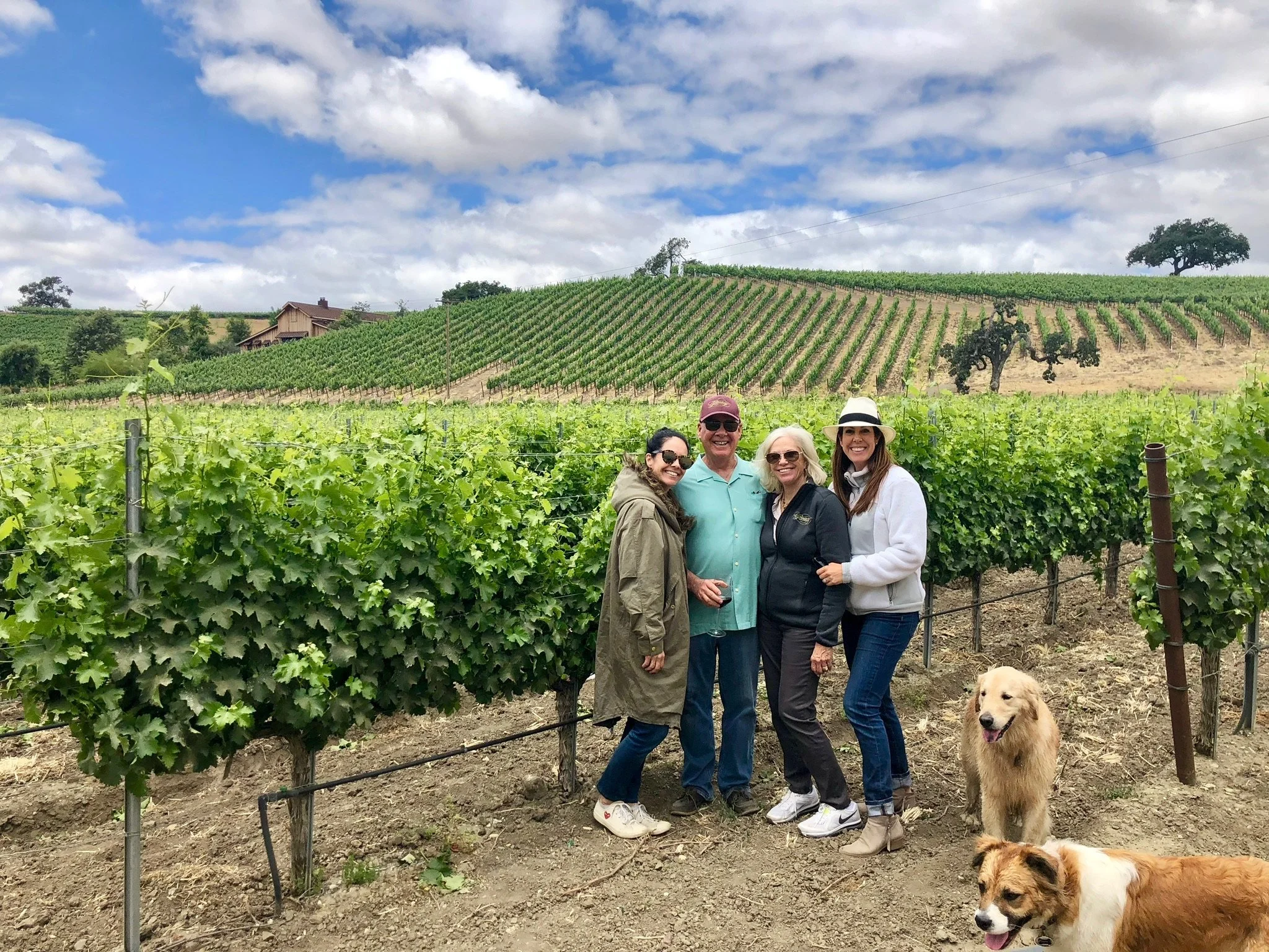 Corinne Grassini Mathern, Larry Grassini, Sharon Grassini and Katie Grassini pose with two pups in front of the vineyard vines at the Grassini Family Vineyards Estate.