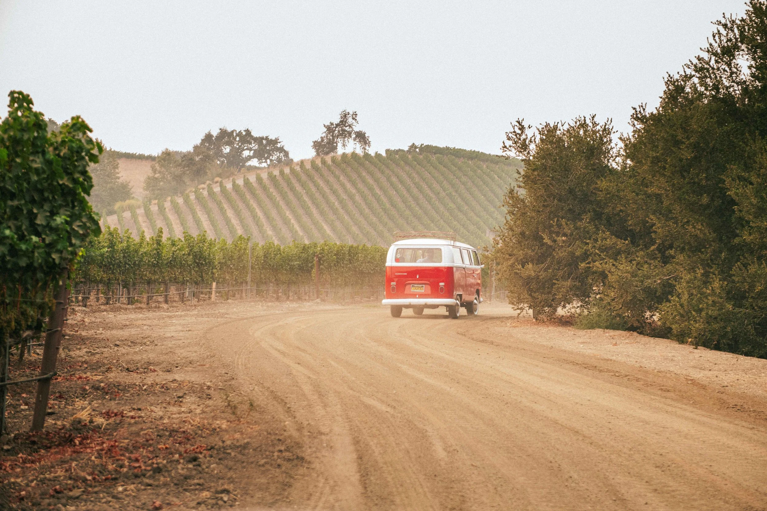 Red VW bus drives along the dirt road at the Grassini Family Vineyards Estate in between the rows of vineyard vines.