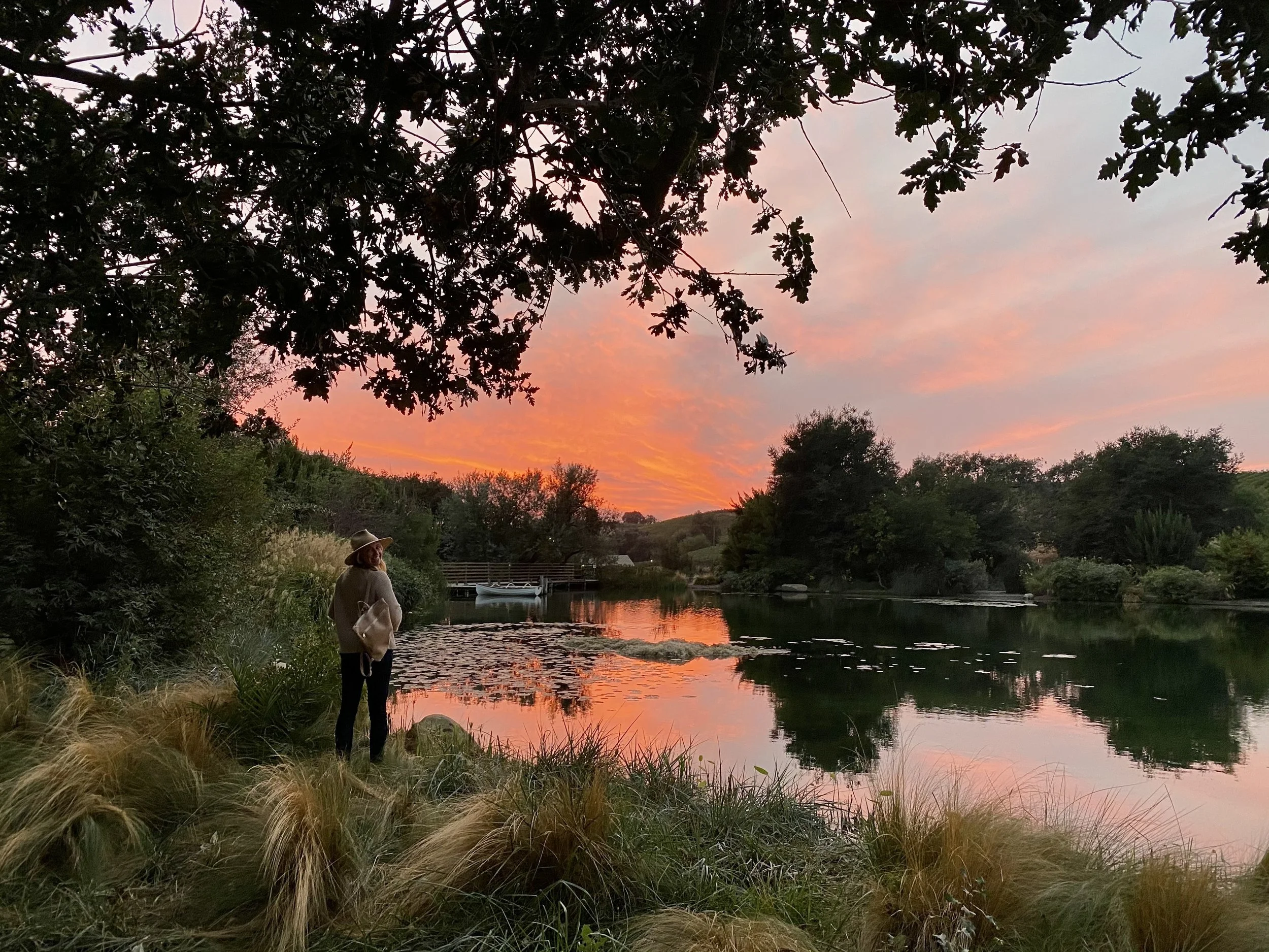 Sunset view at the Pond of Grassini Family Vineyards
