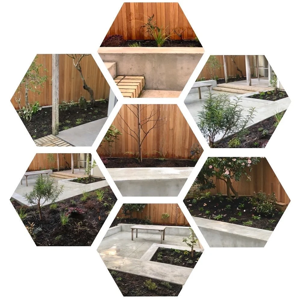 Design: XWD Build: JH