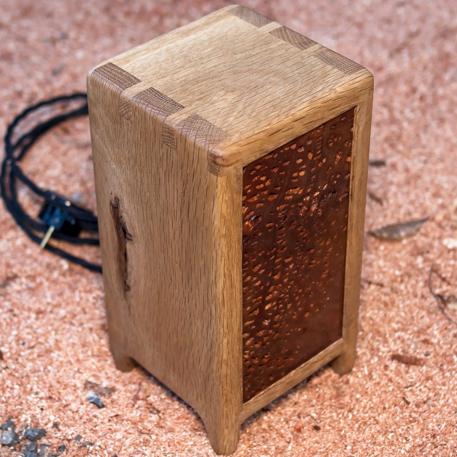 Xylem Lamp