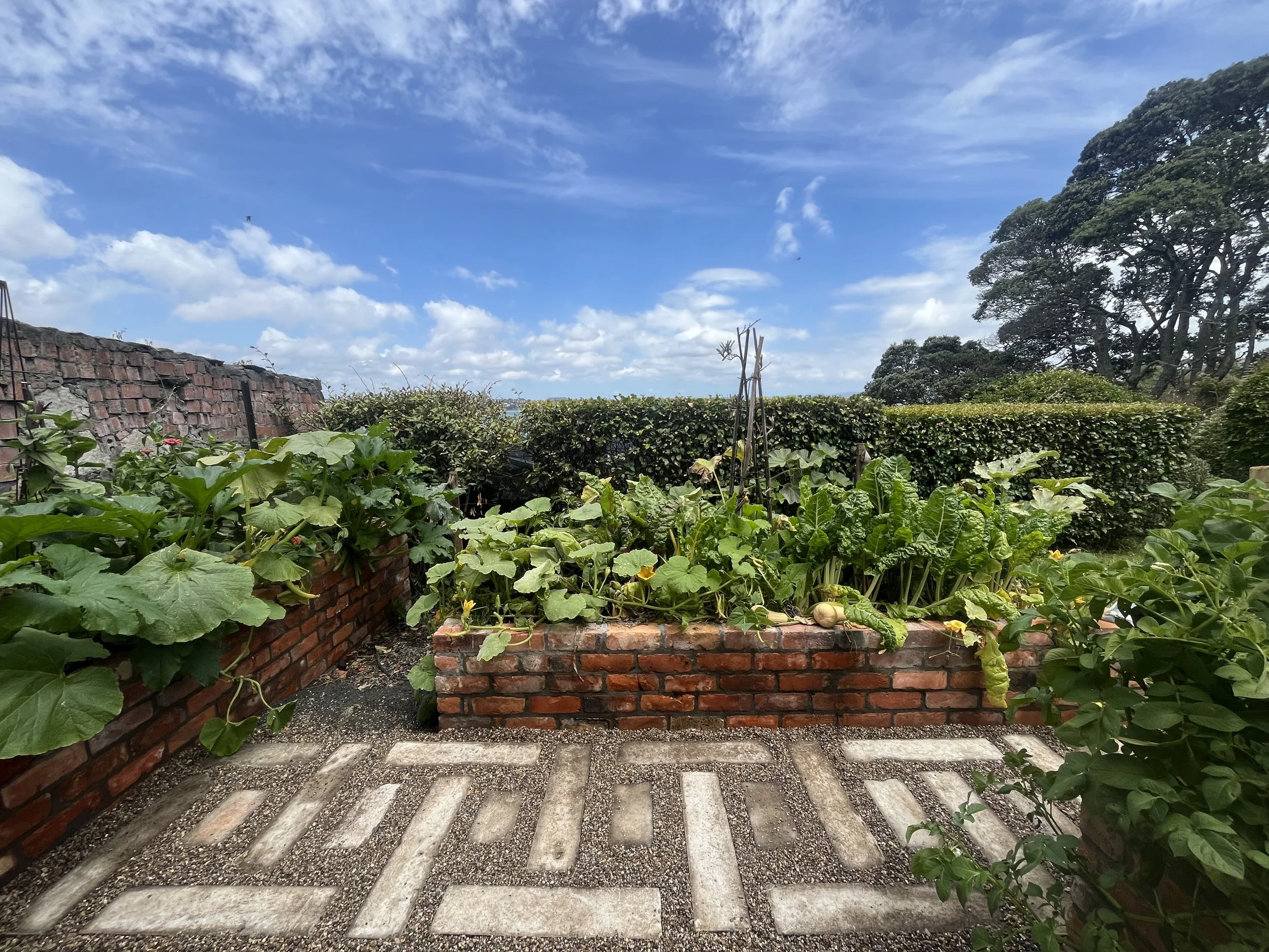 Design: XWD/JH/Client Build: JH, Recycled brick planters, recycled concrete path.