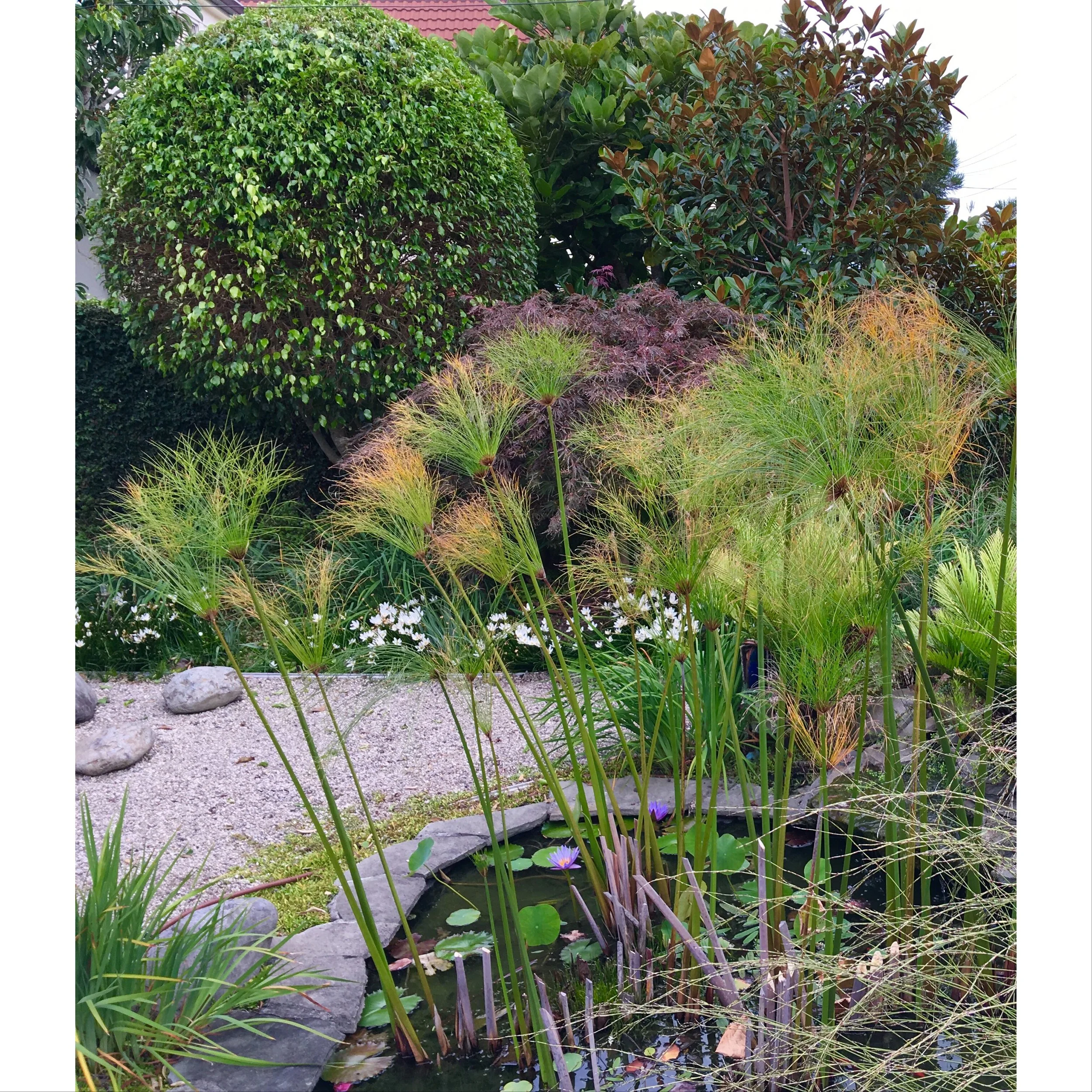 Design: XWD Build: JH Maintenance:JH