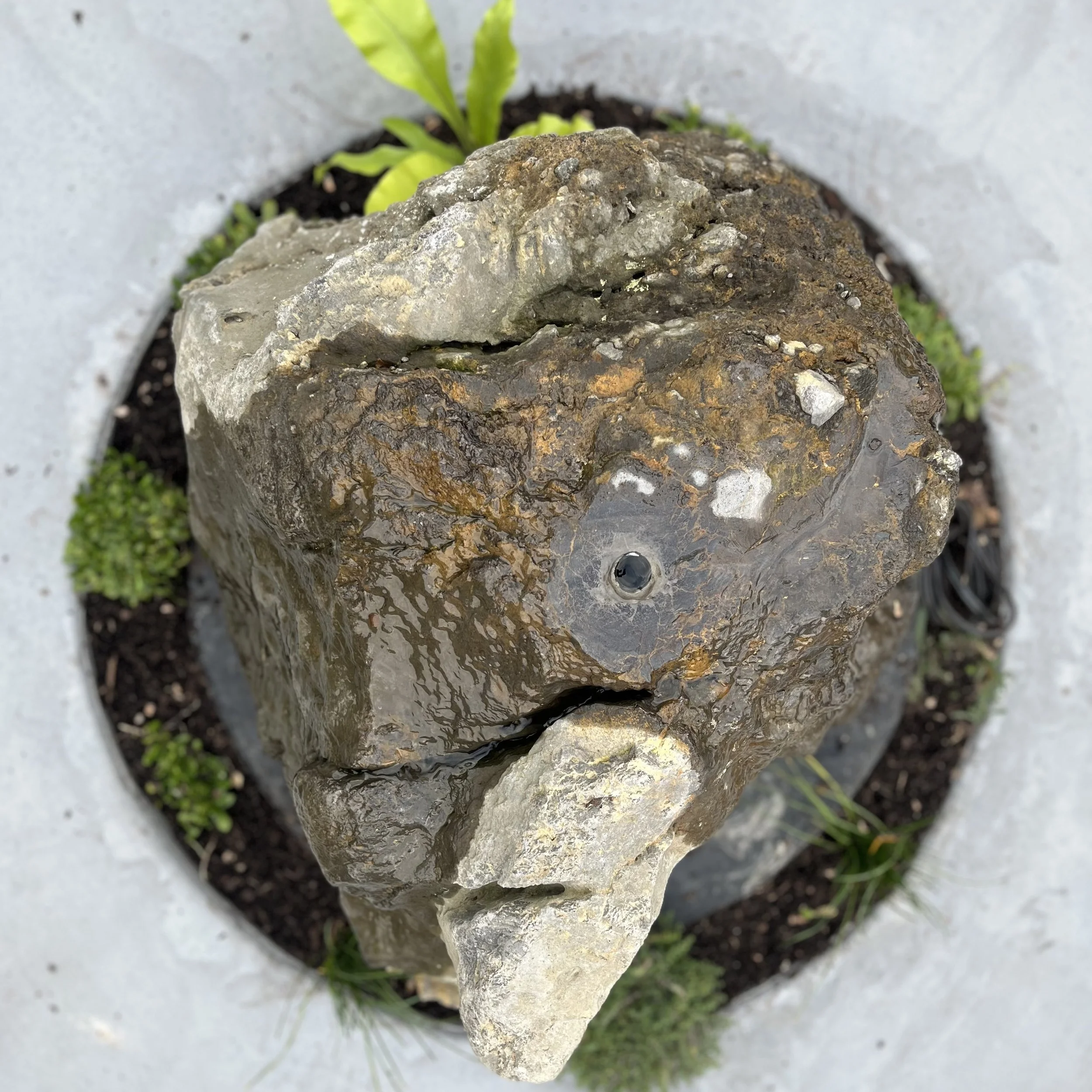 Design: JH Build: JH, Rock water feature