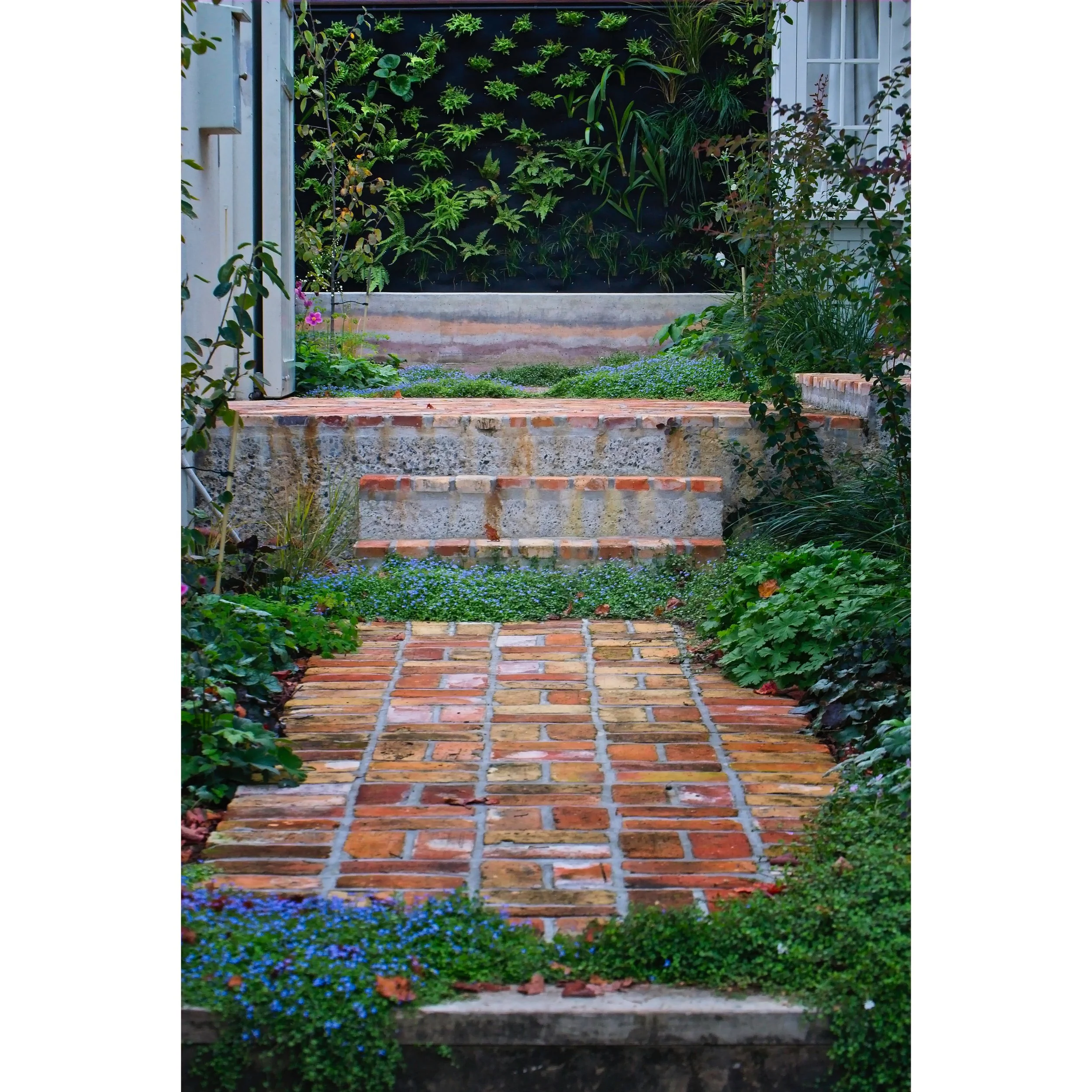 Design: XWD/JH Build: JH Maintenance:JH Recycled brick paving, water feature/green wall.