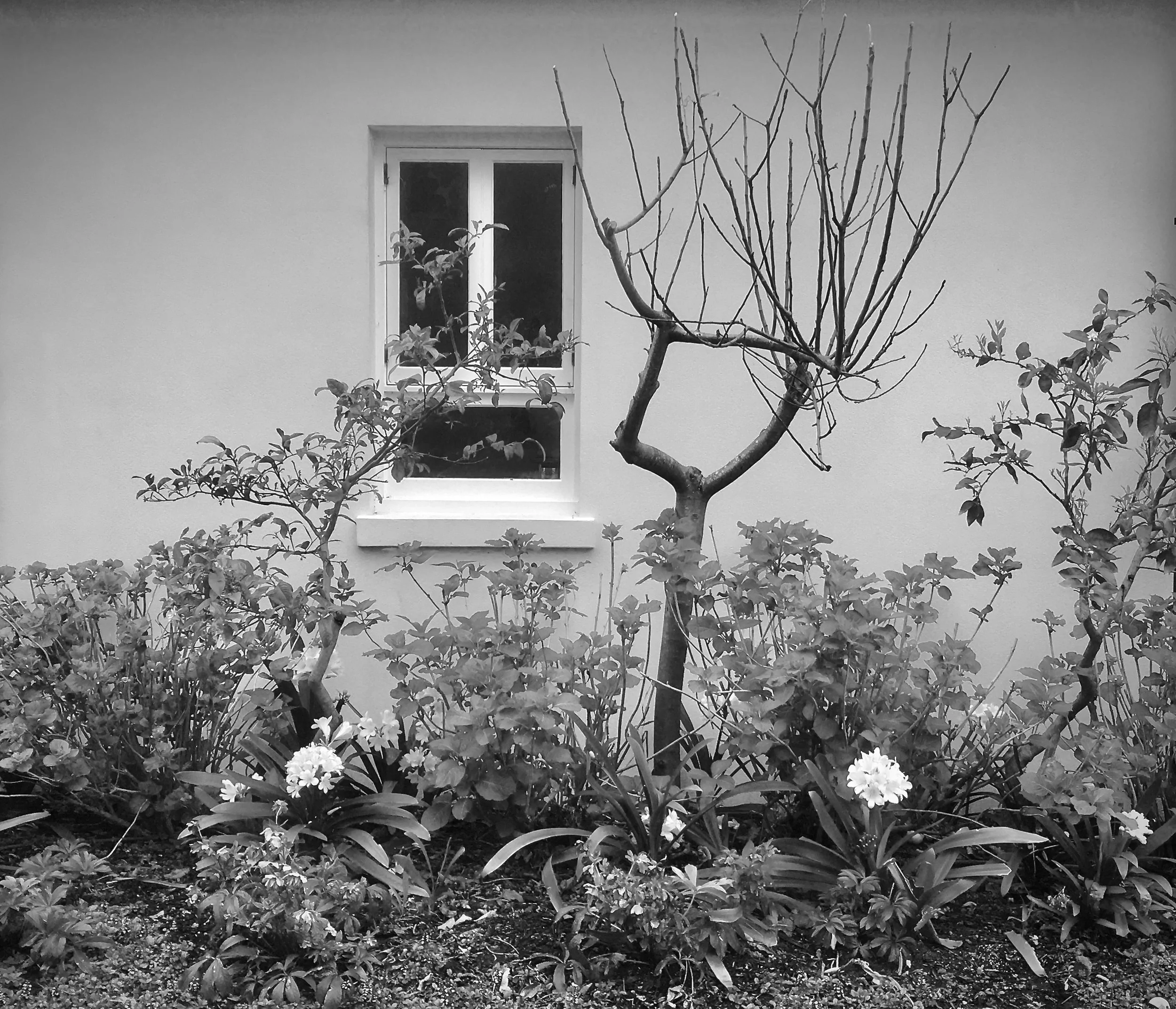 Design: XWD Build: JH Maintenance:JH