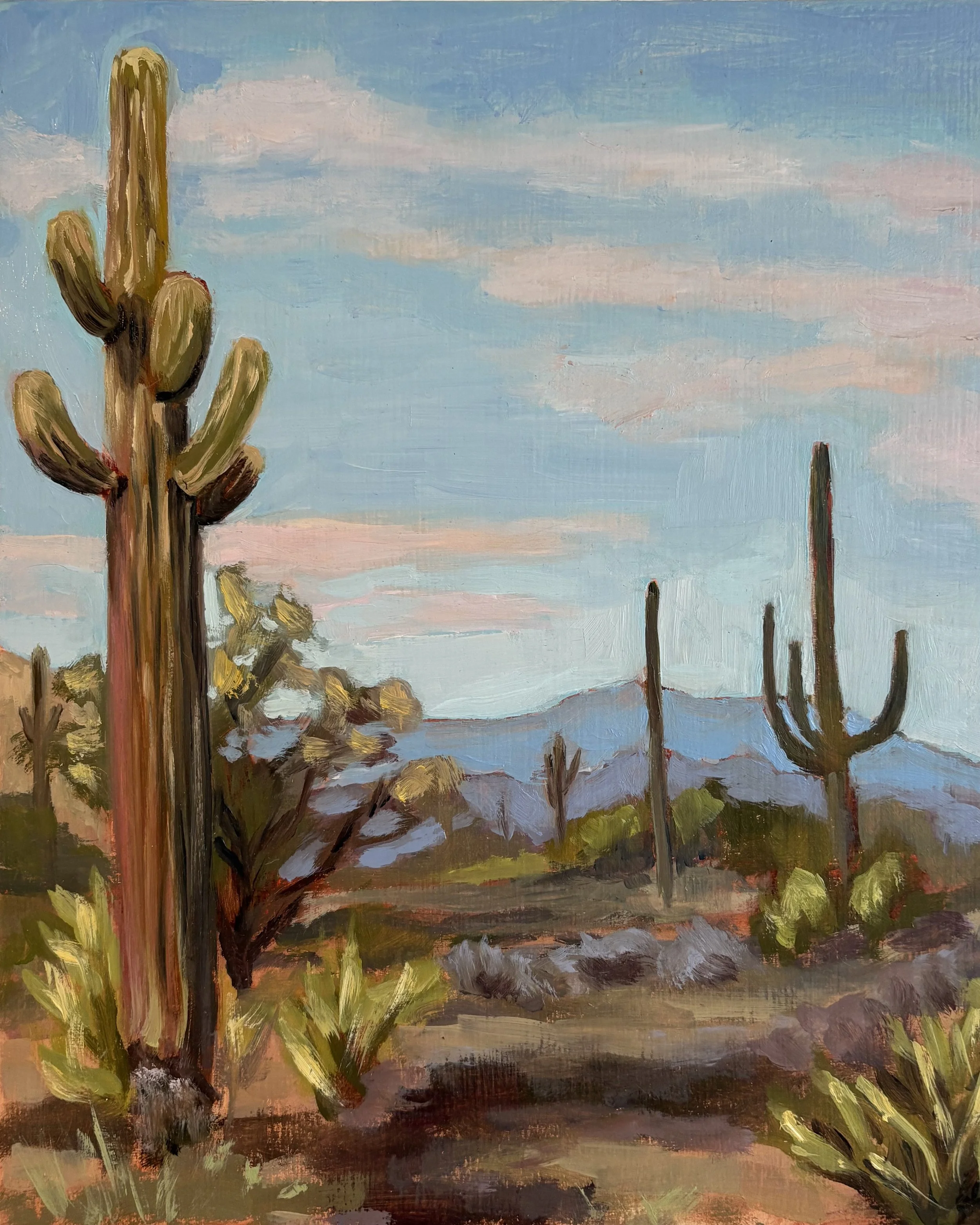 Desert Views.jpeg