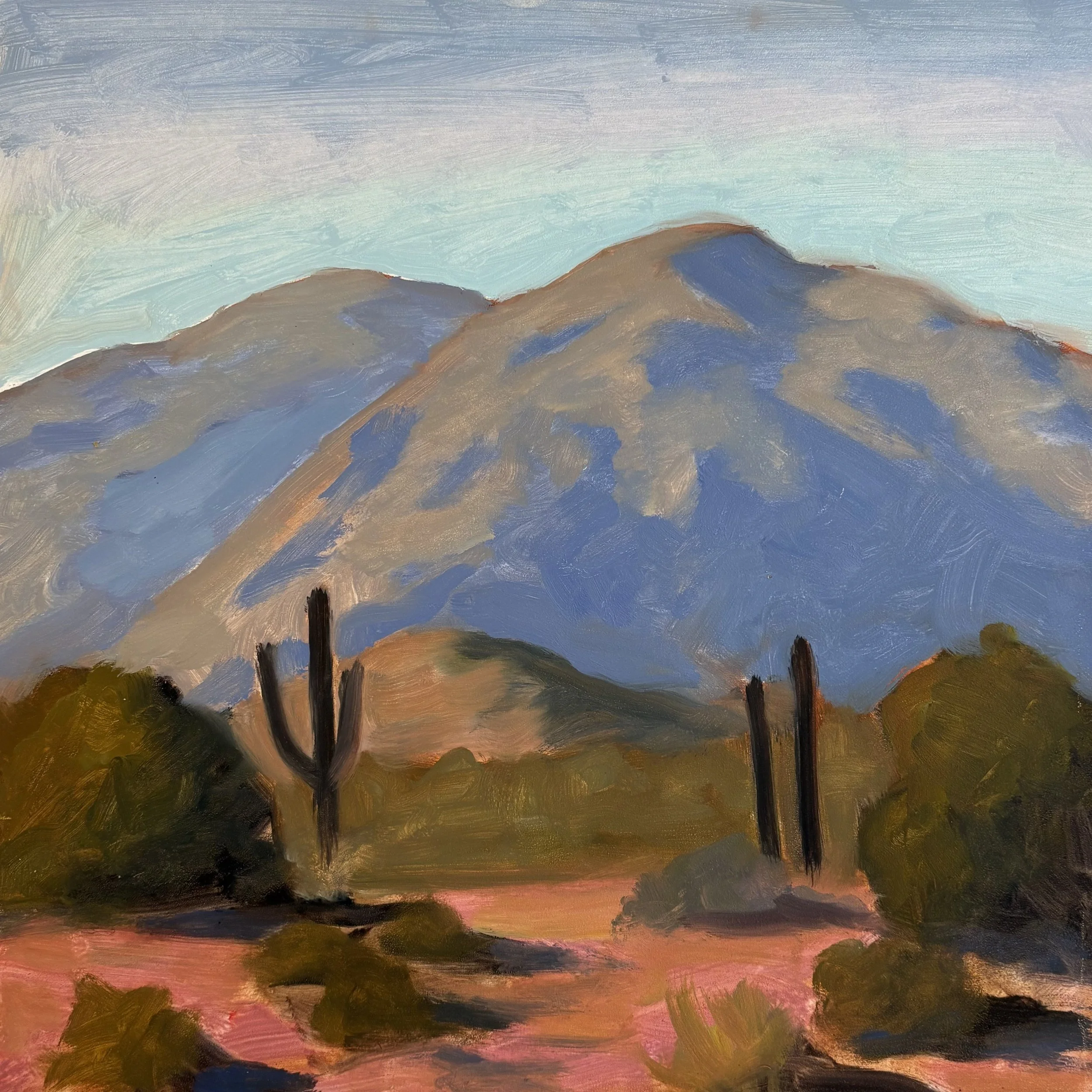 White tank mountain range with warm tone foreground, brush, and cacti in front of blue shadowed tall mountains in background