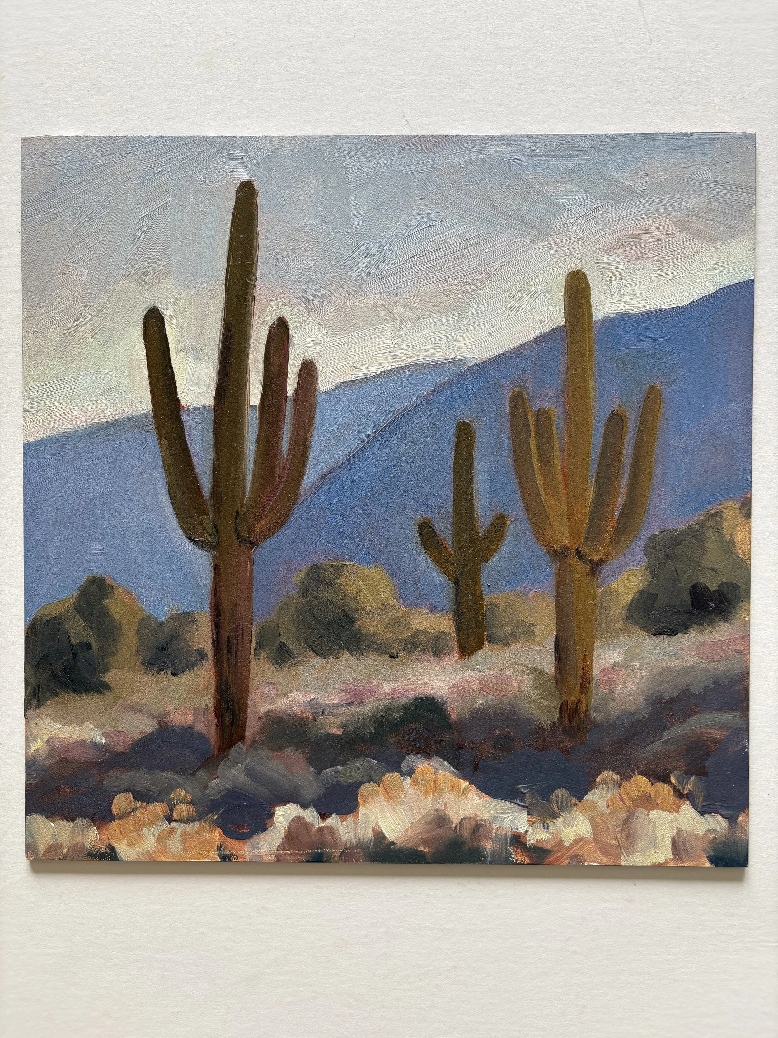 Desert Evening Light.jpeg