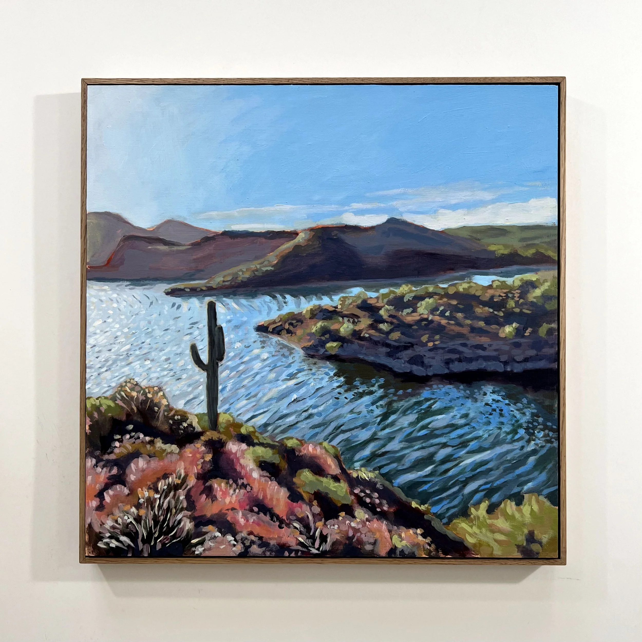 Saguaro Lake.jpeg
