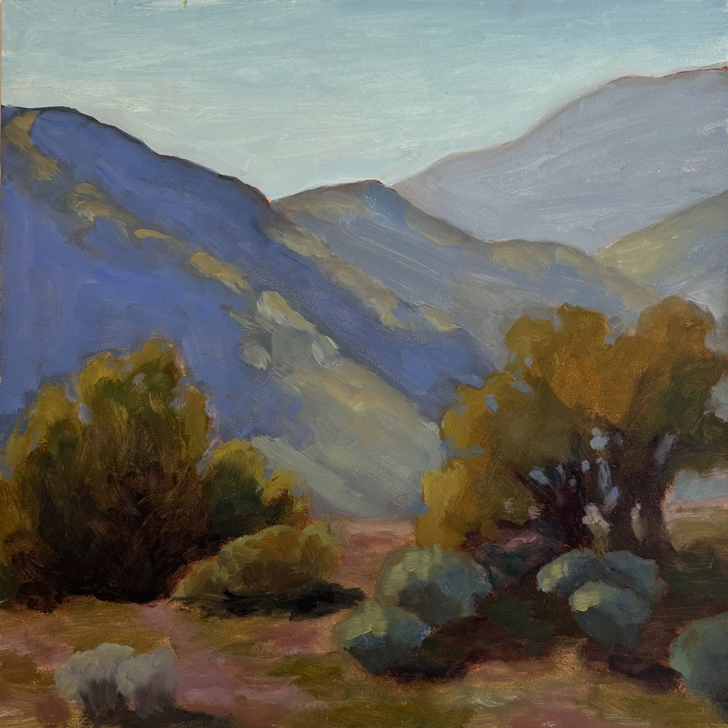 Plein air painting of two yellow green bushes with smaller blue brush in foreground of blue mountains fading into the distance with a blue sky
