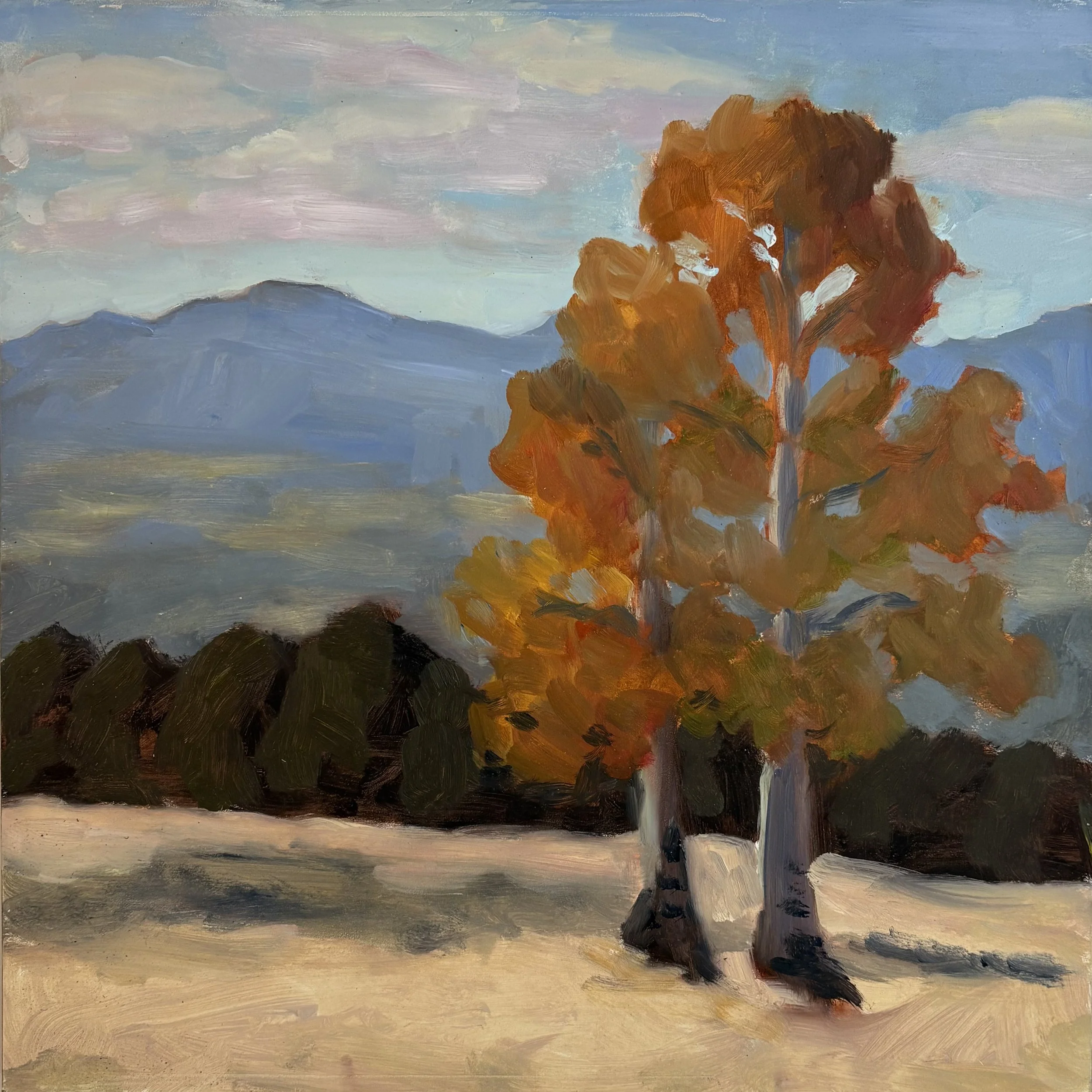 Plein Air painting of orange and yellow aspen tree to the right of the painting with blue distant mountains on a cloudy day