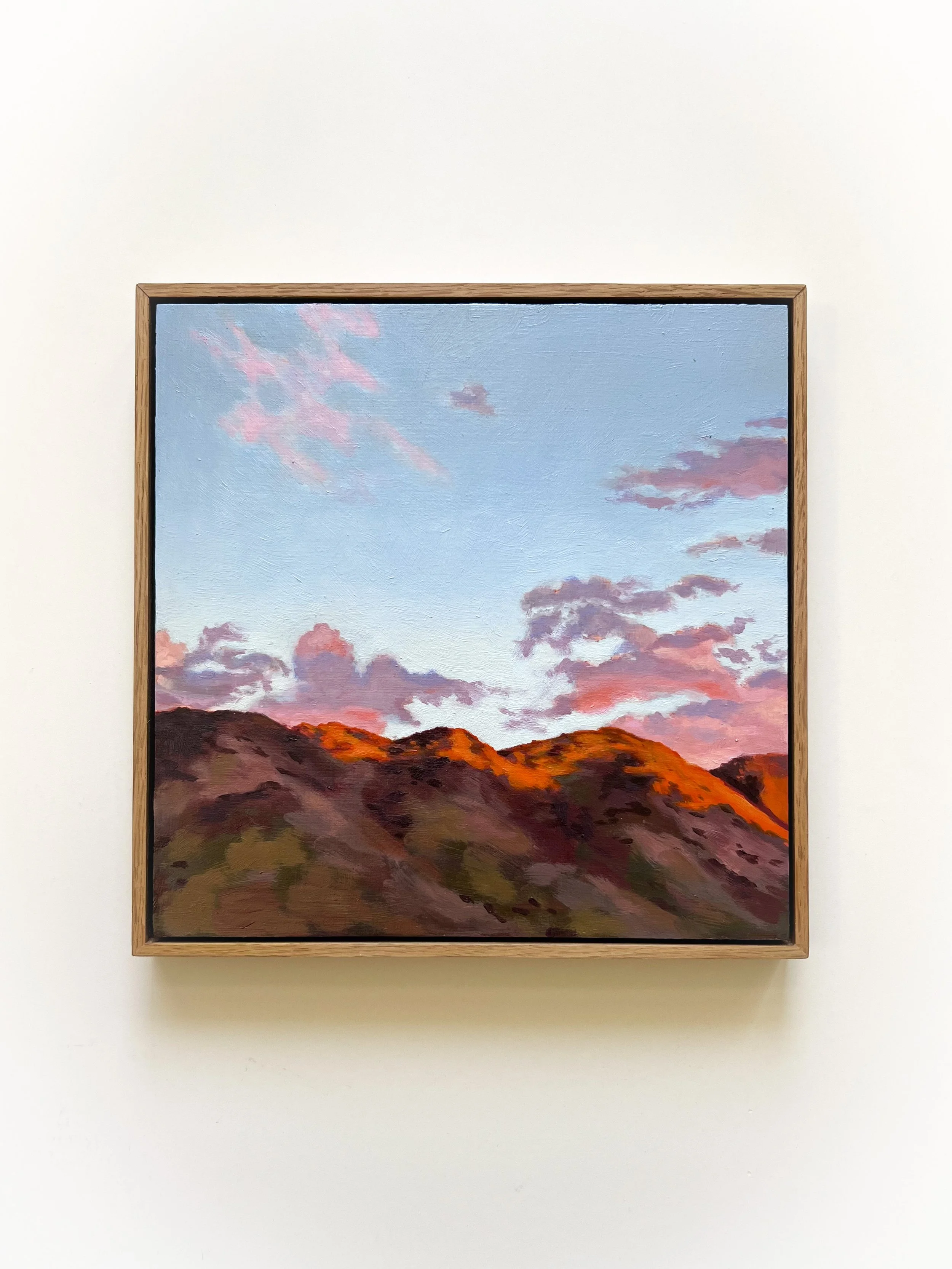Desert Dusk.JPG