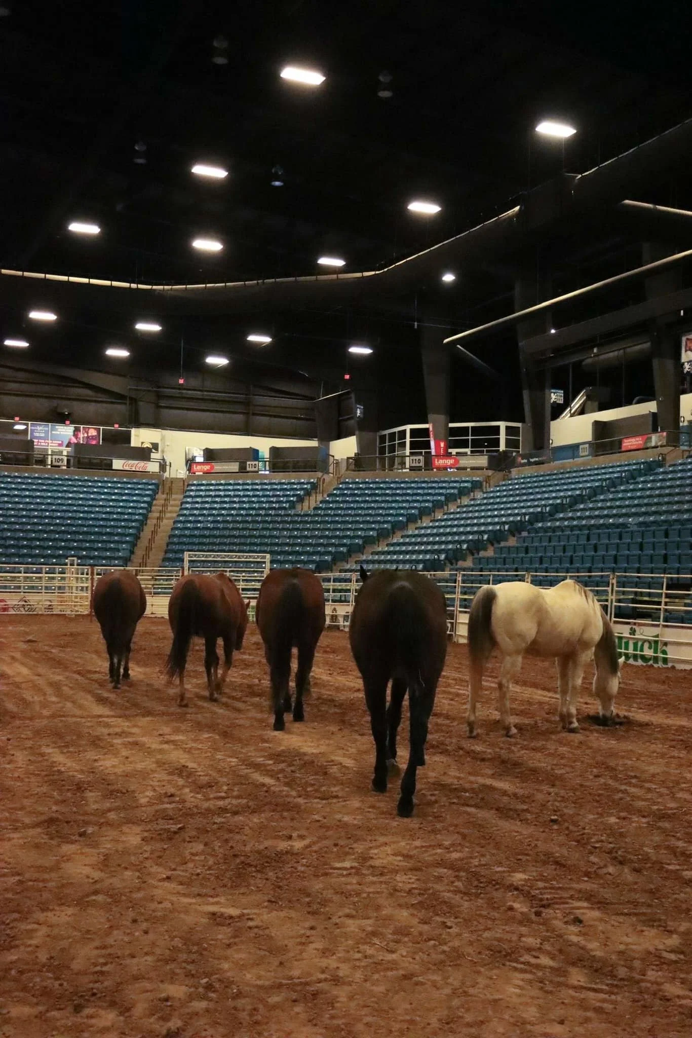 Prca Rodeo Springfield Park City PRCA Rodeo