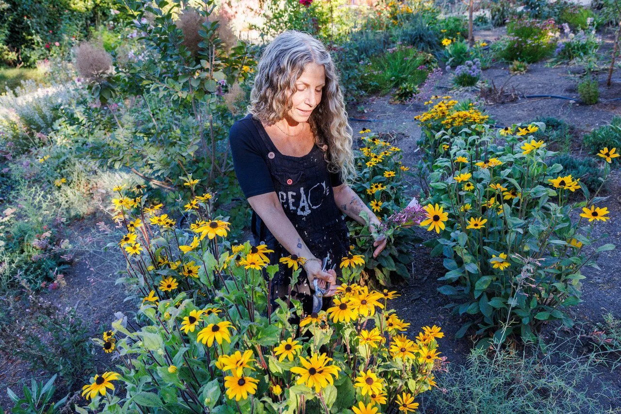 A woman with curly gray hair tending to yellow black-eyed Susan flowers in a garden.