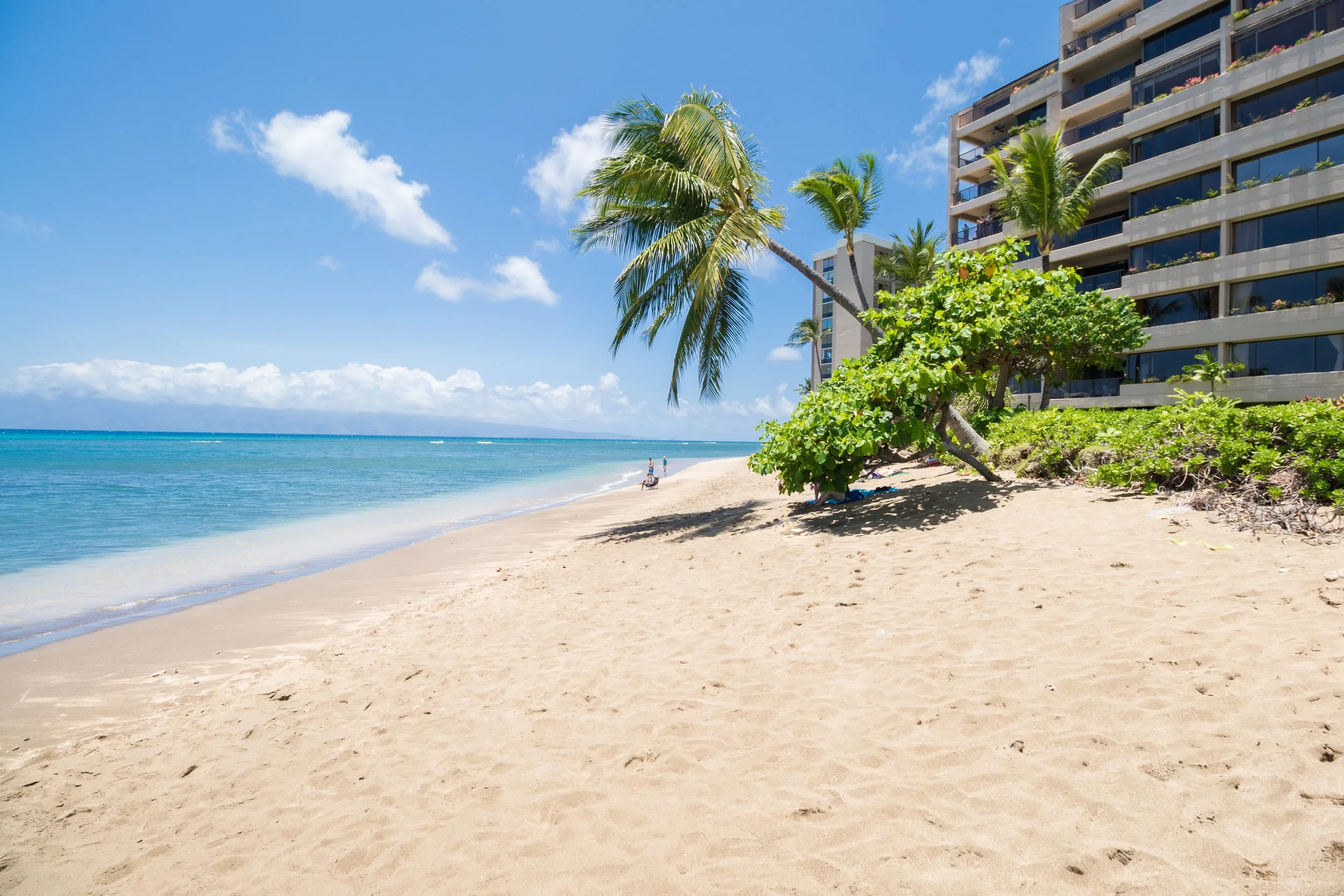 MAUIImage13.jpg
