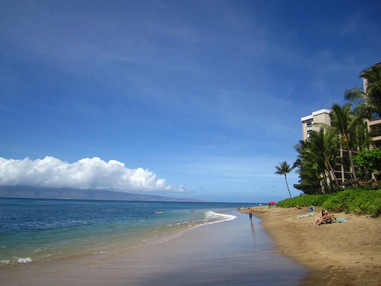 MAUIImage23.jpg