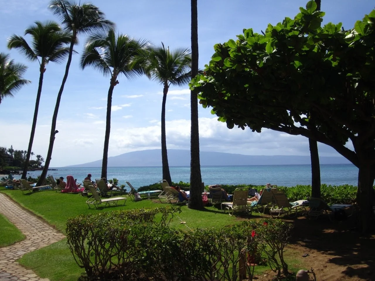 MAUIImage12.jpg