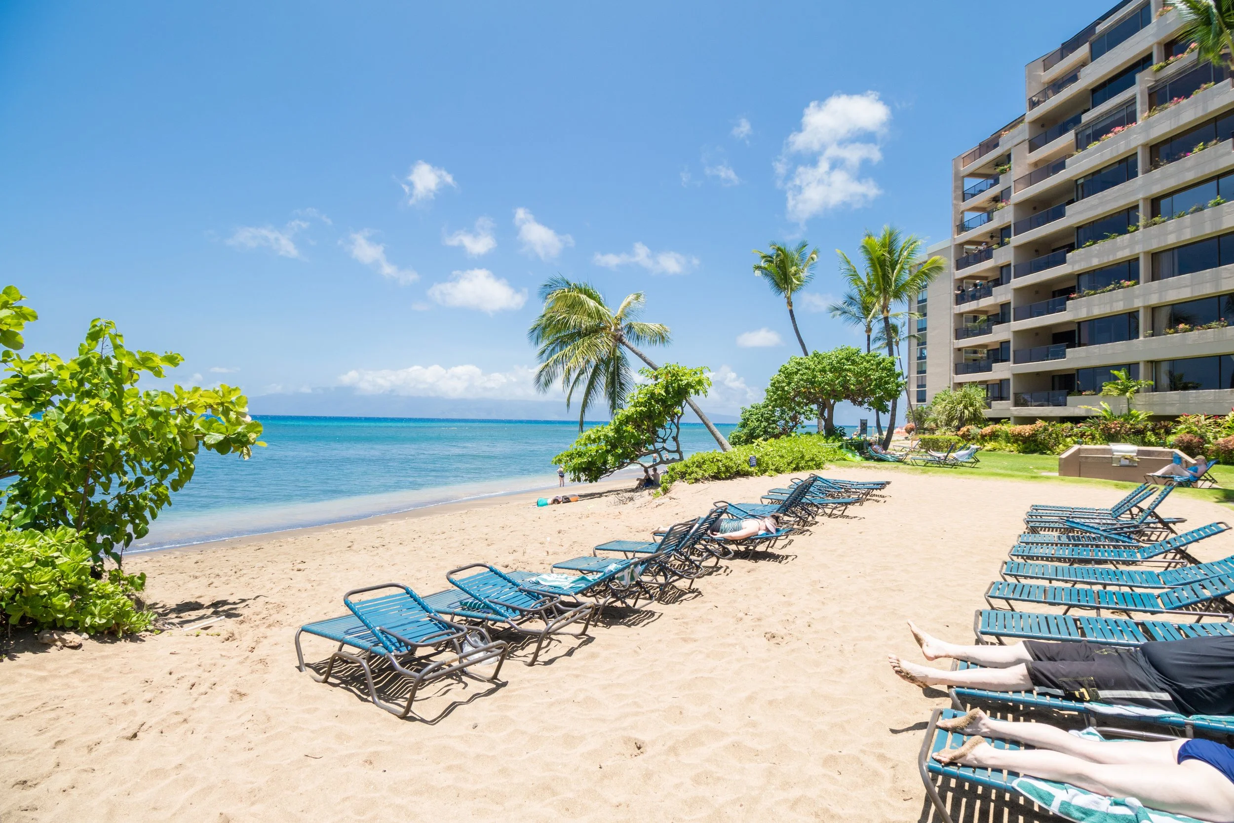 MAUIImage17.jpg