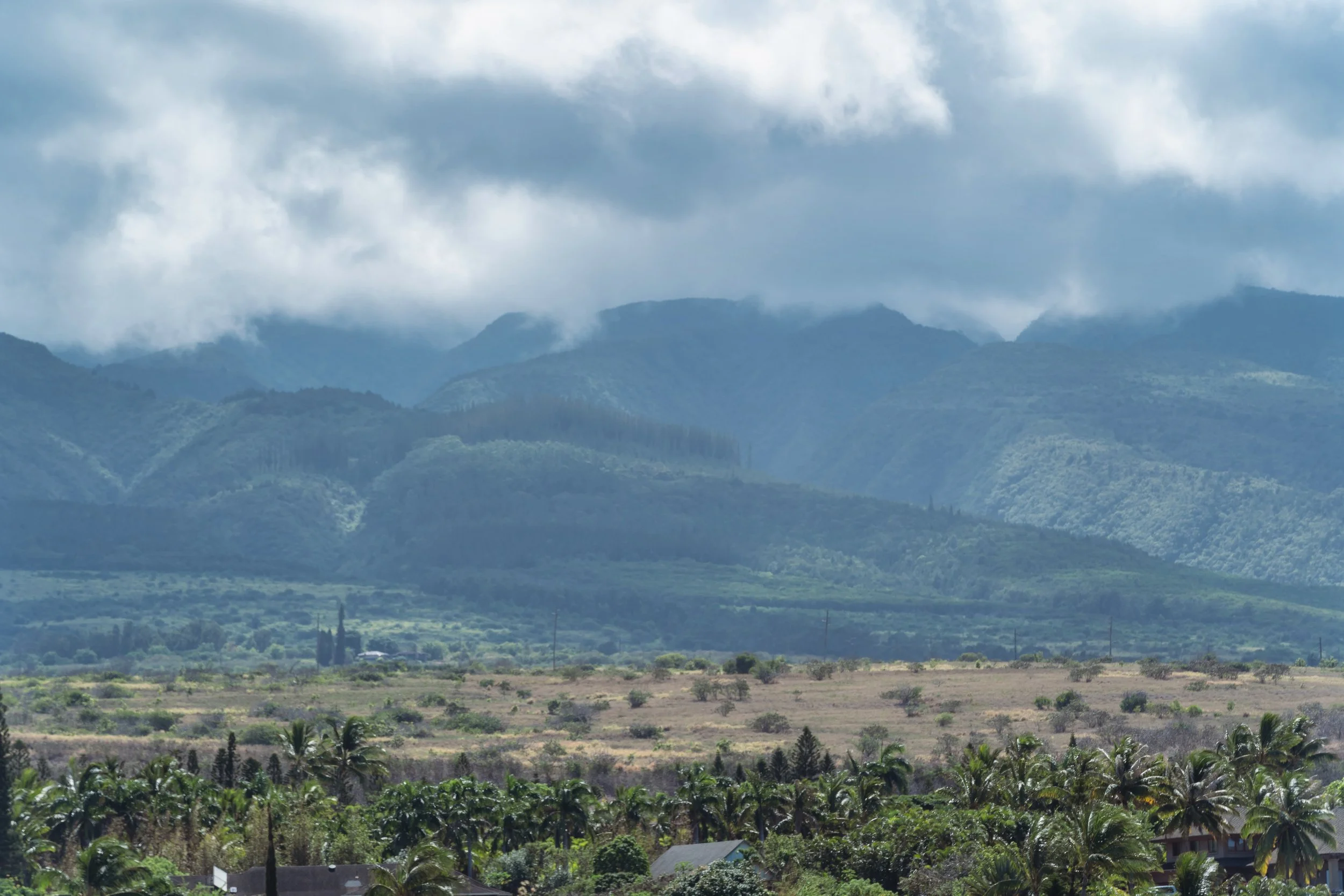 MAUIImage41.jpg