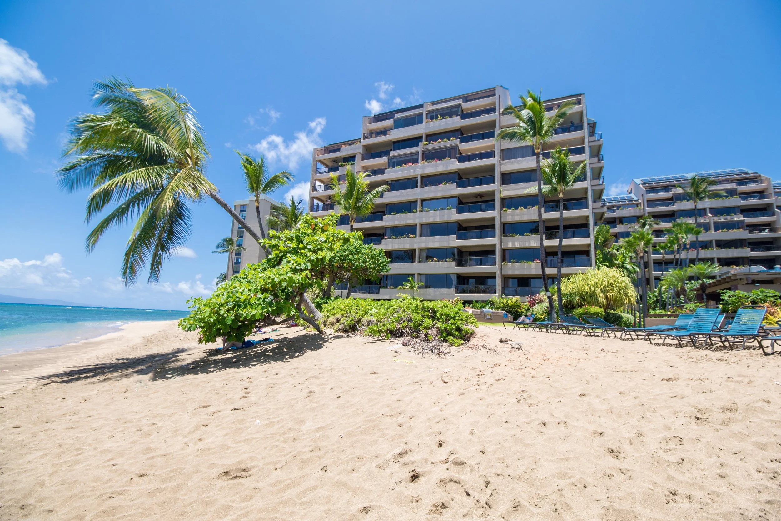 MAUIImage14.jpg